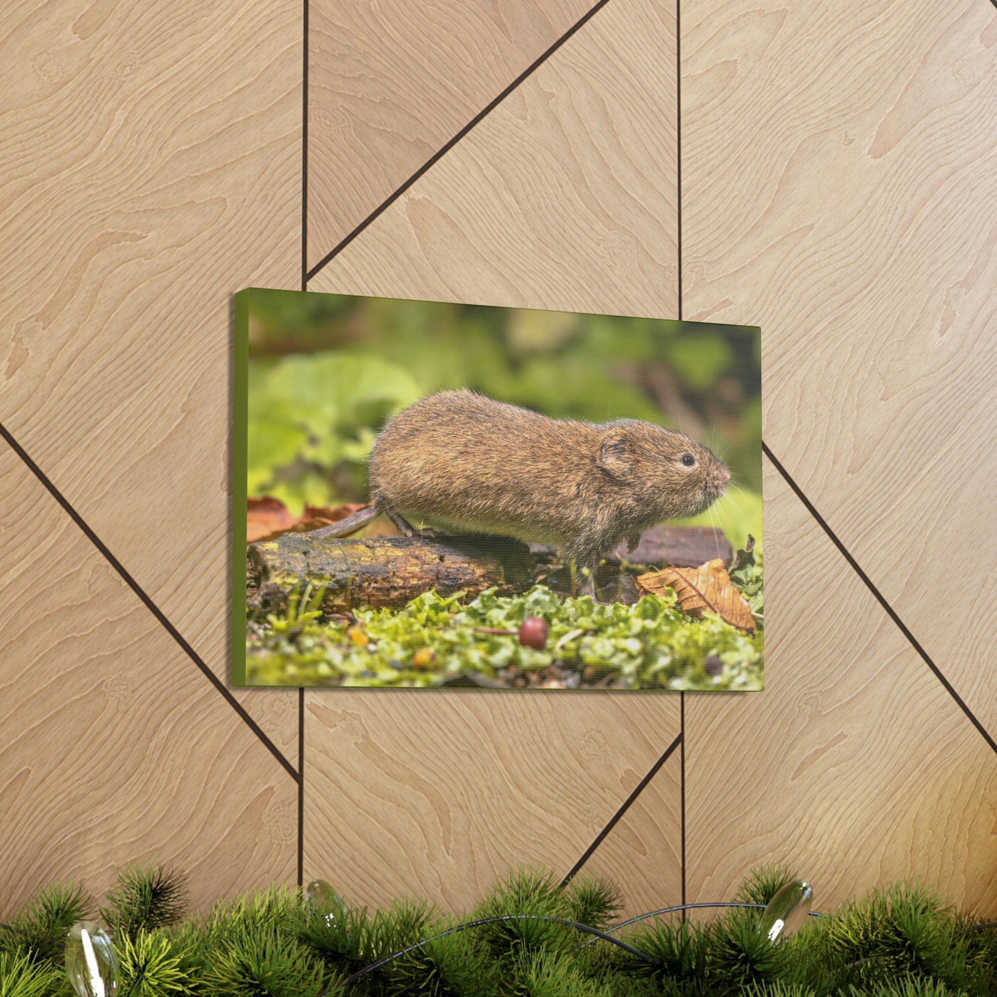 Scripture Walls Vole Hunting Vole on Hunt Print Animal Wall Art Wildlife Canvas Prints Wall Art Ready to Hang Unframed-Express Your Love Gifts