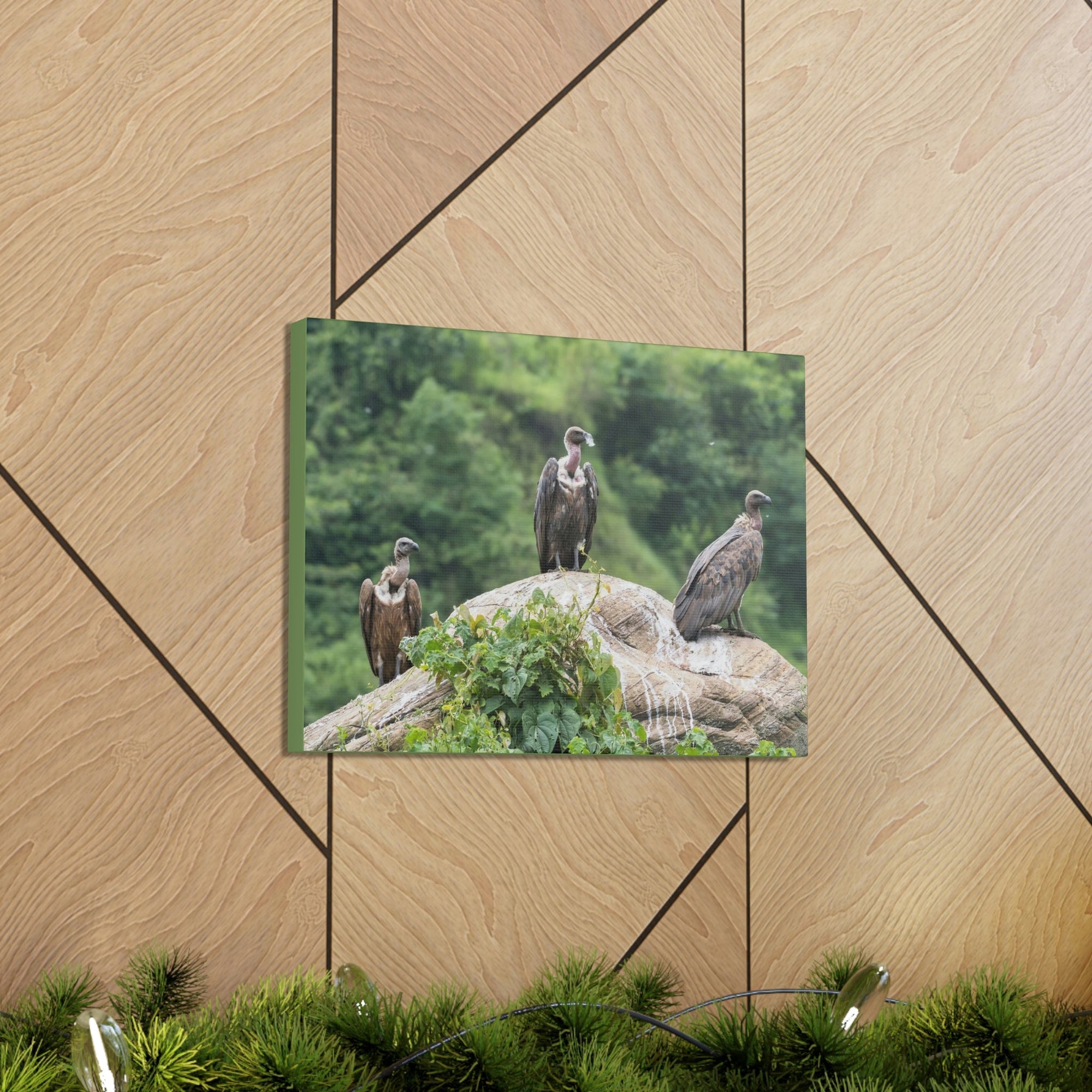 Scripture Walls Vulture Group Vulture Troop Print Animal Wall Art Wildlife Canvas Prints Wall Art Ready to Hang Unframed-Express Your Love Gifts