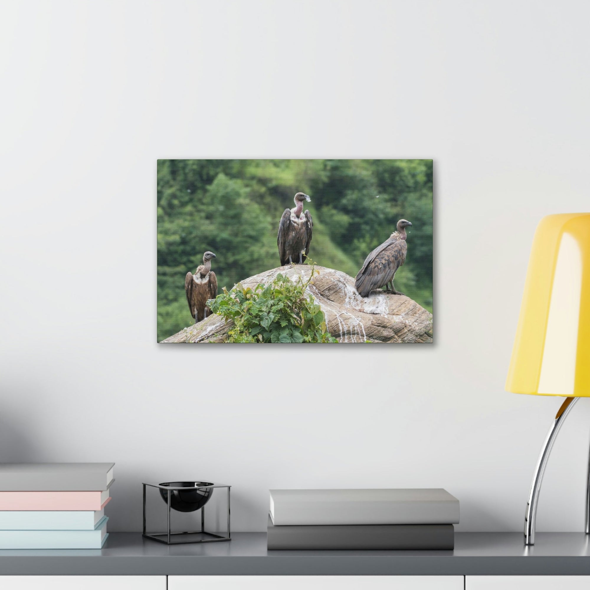 Scripture Walls Vulture Group Vulture Troop Print Animal Wall Art Wildlife Canvas Prints Wall Art Ready to Hang Unframed-Express Your Love Gifts