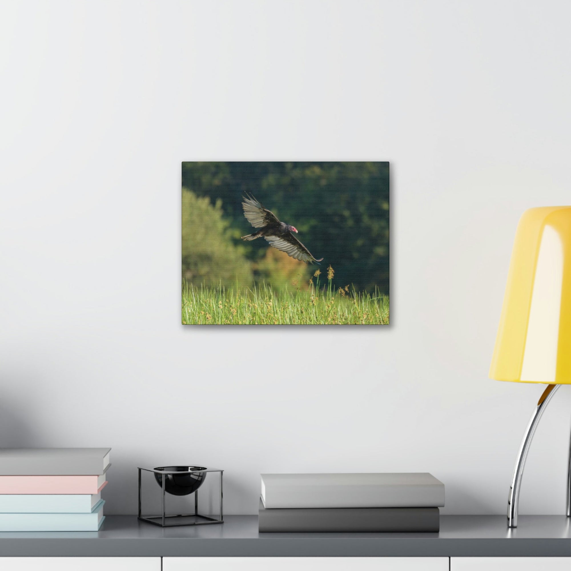 Scripture Walls Vulture Hunting Vulture on Hunt Print Animal Wall Art Wildlife Canvas Prints Wall Art Ready to Hang Unframed-Express Your Love Gifts