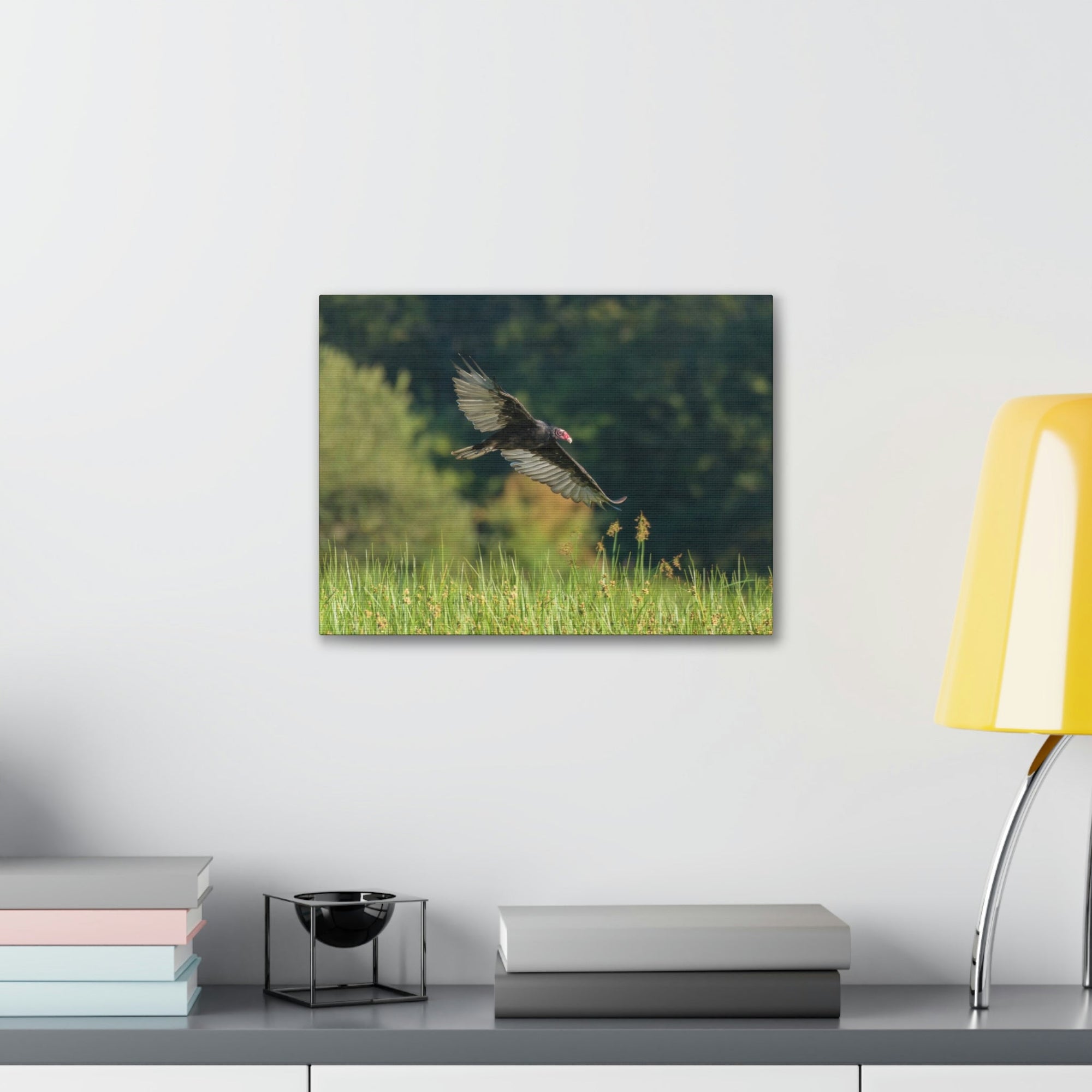 Scripture Walls Vulture Hunting Vulture on Hunt Print Animal Wall Art Wildlife Canvas Prints Wall Art Ready to Hang Unframed-Express Your Love Gifts