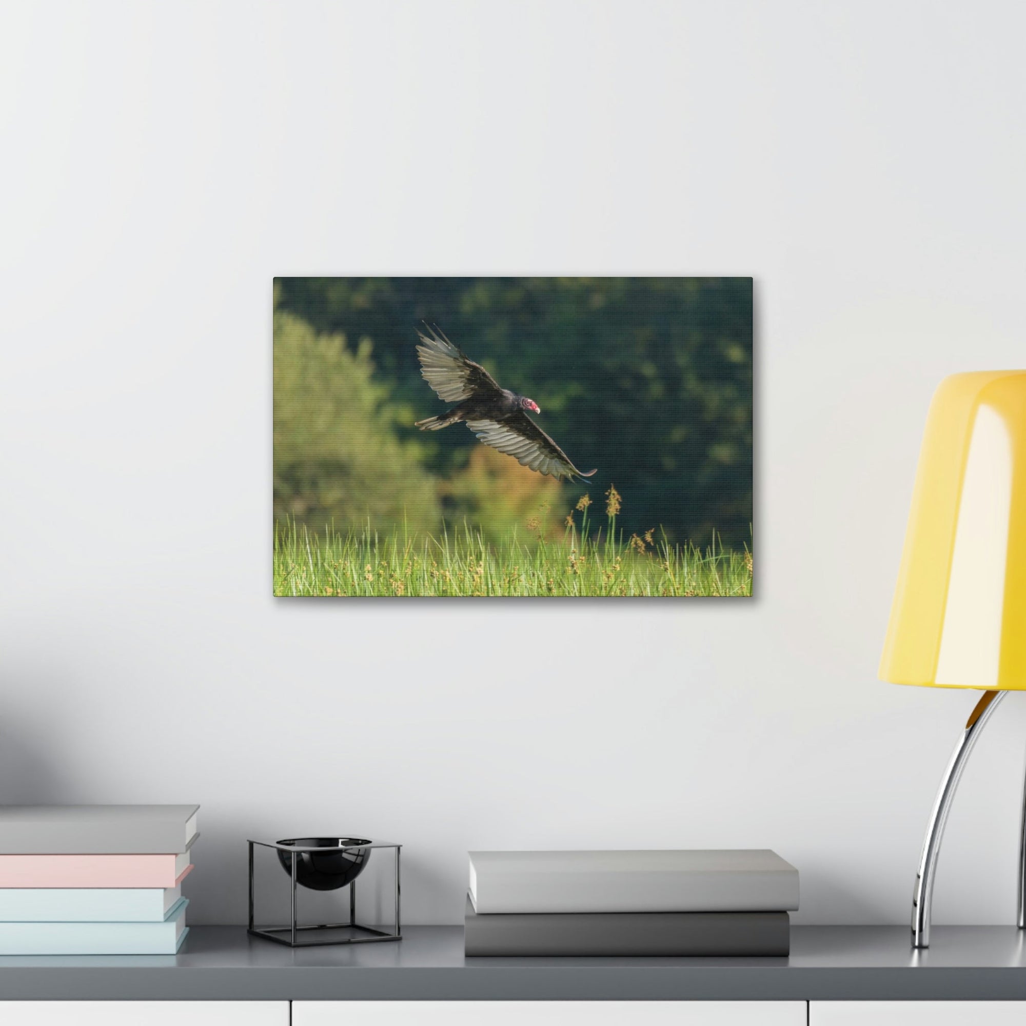 Scripture Walls Vulture Hunting Vulture on Hunt Print Animal Wall Art Wildlife Canvas Prints Wall Art Ready to Hang Unframed-Express Your Love Gifts