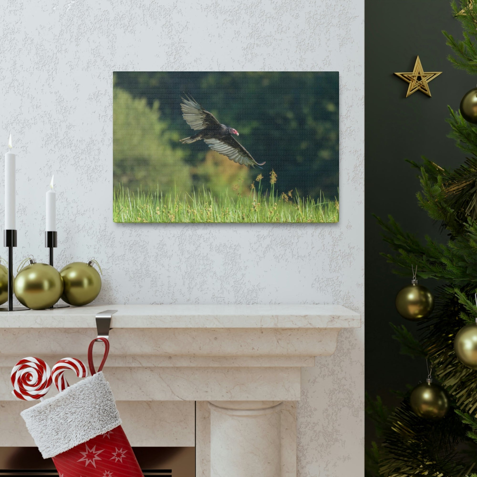 Scripture Walls Vulture Hunting Vulture on Hunt Print Animal Wall Art Wildlife Canvas Prints Wall Art Ready to Hang Unframed-Express Your Love Gifts