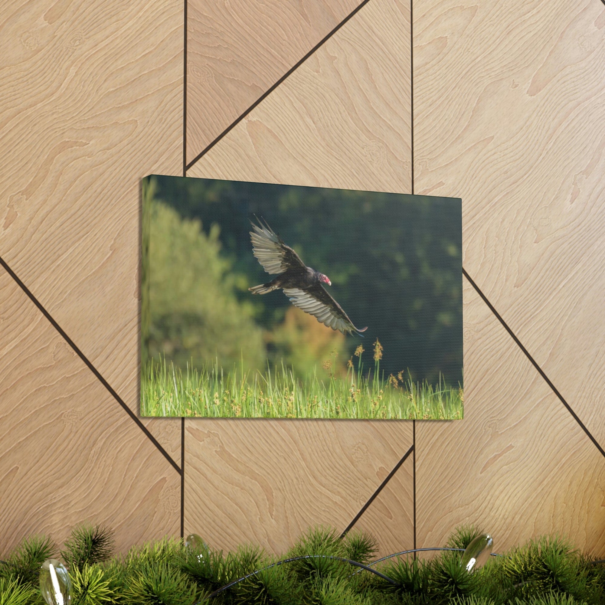 Scripture Walls Vulture Hunting Vulture on Hunt Print Animal Wall Art Wildlife Canvas Prints Wall Art Ready to Hang Unframed-Express Your Love Gifts