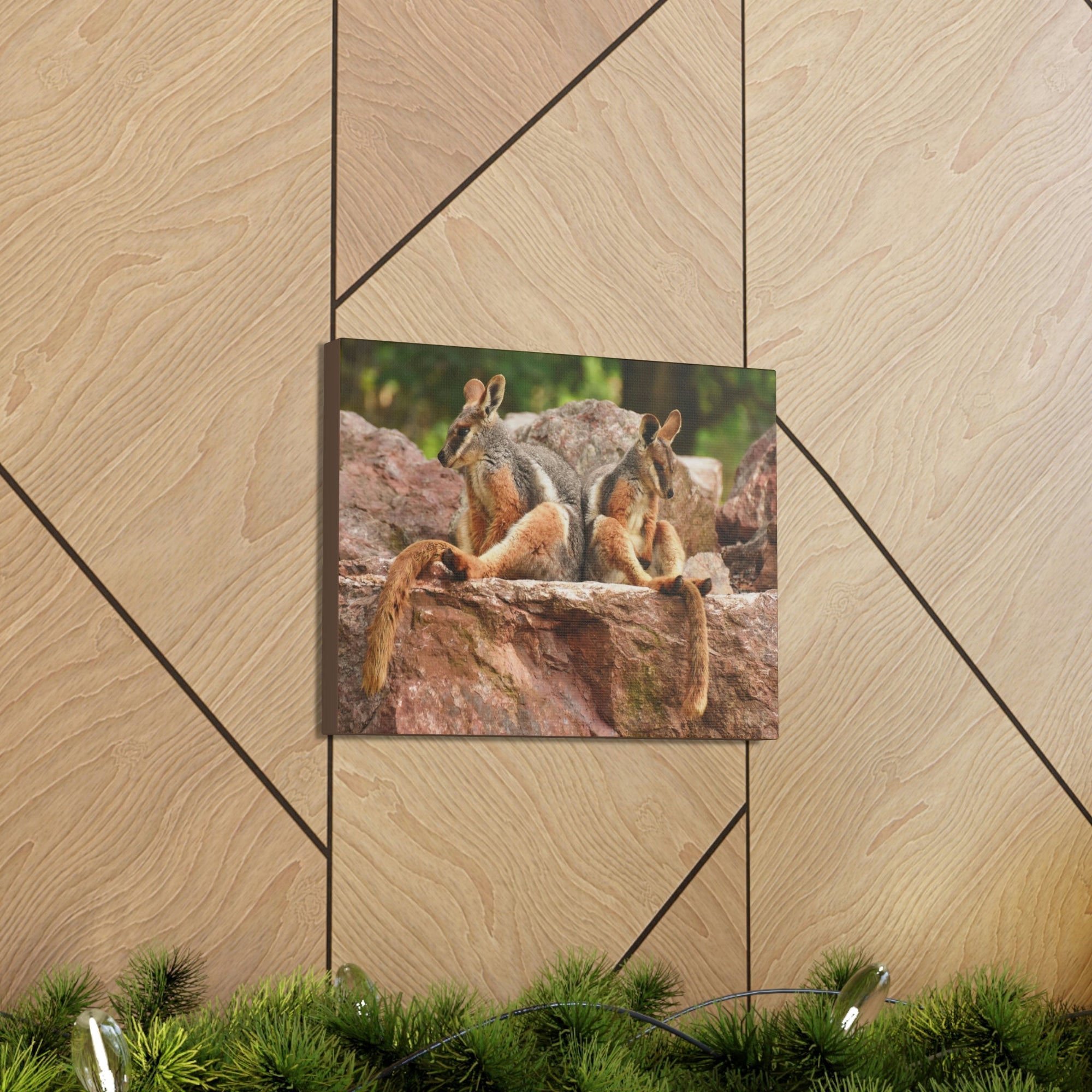 Scripture Walls Wallaby Couple Wallaby Couple Print Animal Wall Art Wildlife Canvas Prints Wall Art Ready to Hang Unframed-Express Your Love Gifts