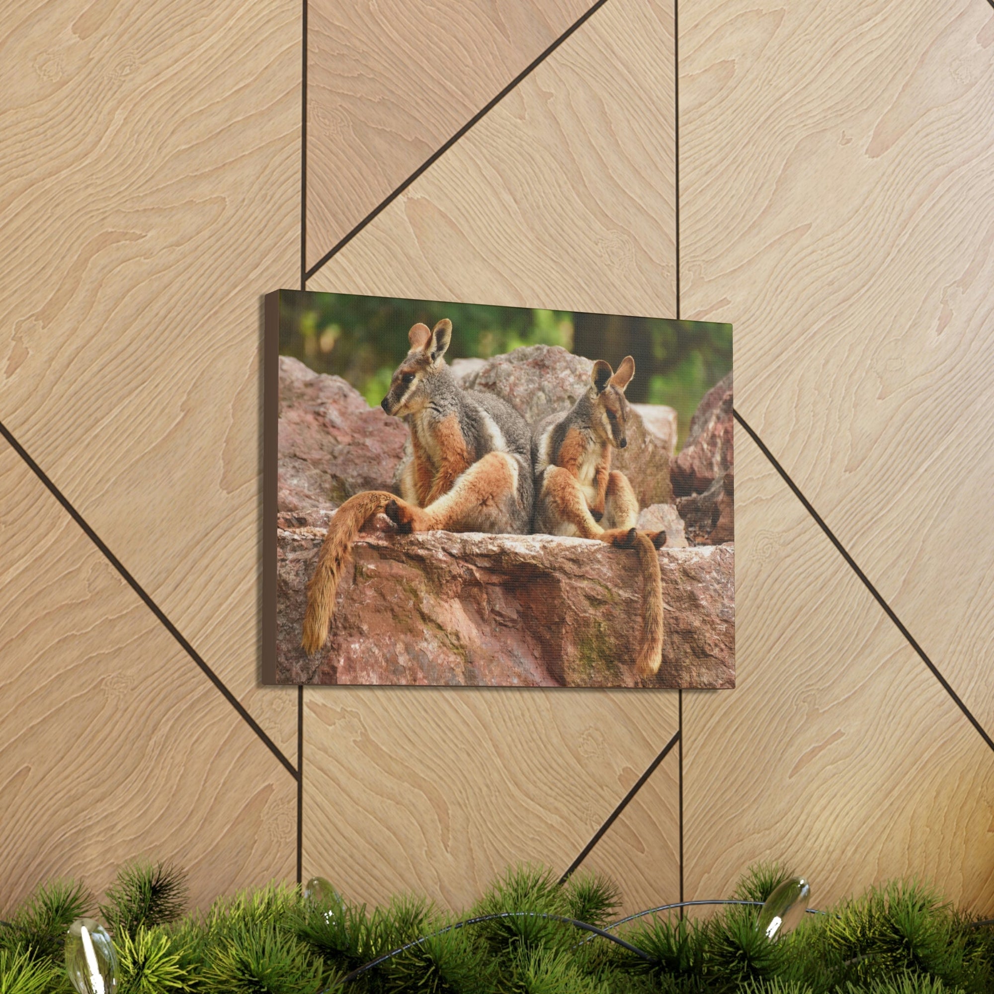 Scripture Walls Wallaby Couple Wallaby Couple Print Animal Wall Art Wildlife Canvas Prints Wall Art Ready to Hang Unframed-Express Your Love Gifts