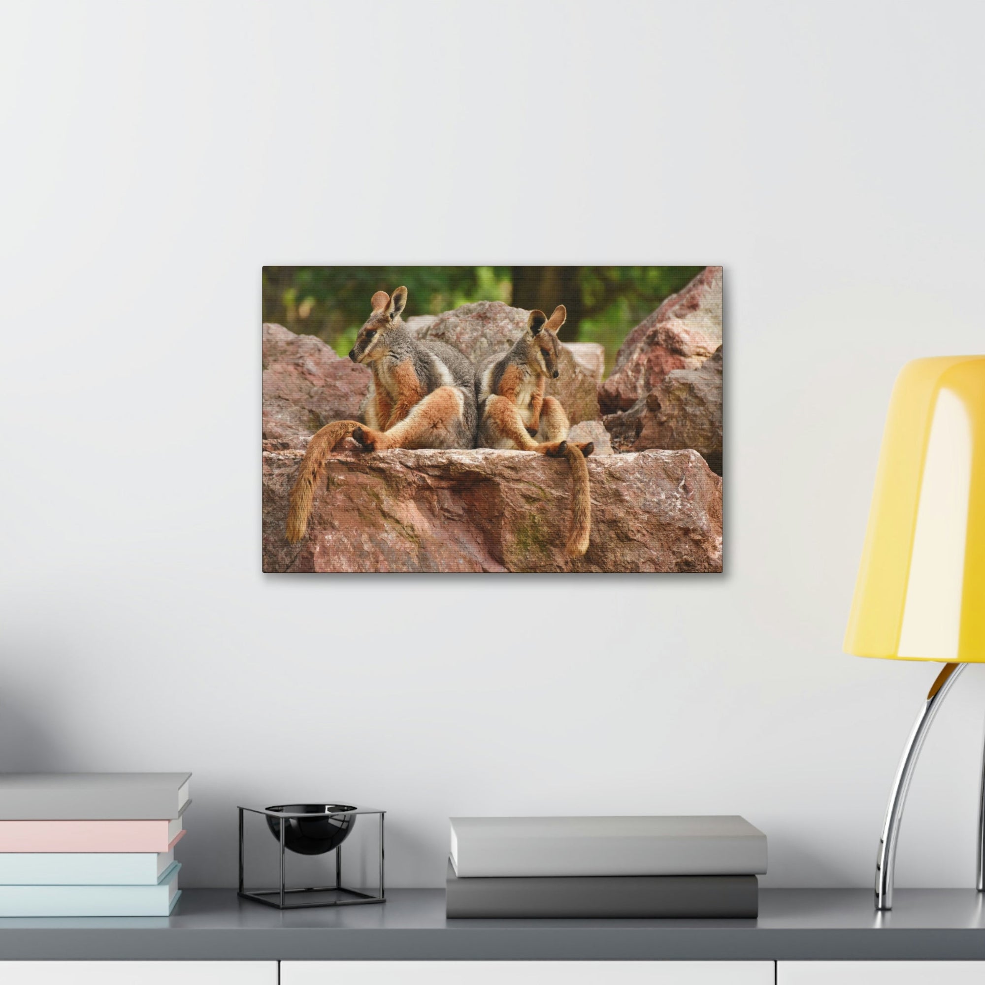 Scripture Walls Wallaby Couple Wallaby Couple Print Animal Wall Art Wildlife Canvas Prints Wall Art Ready to Hang Unframed-Express Your Love Gifts