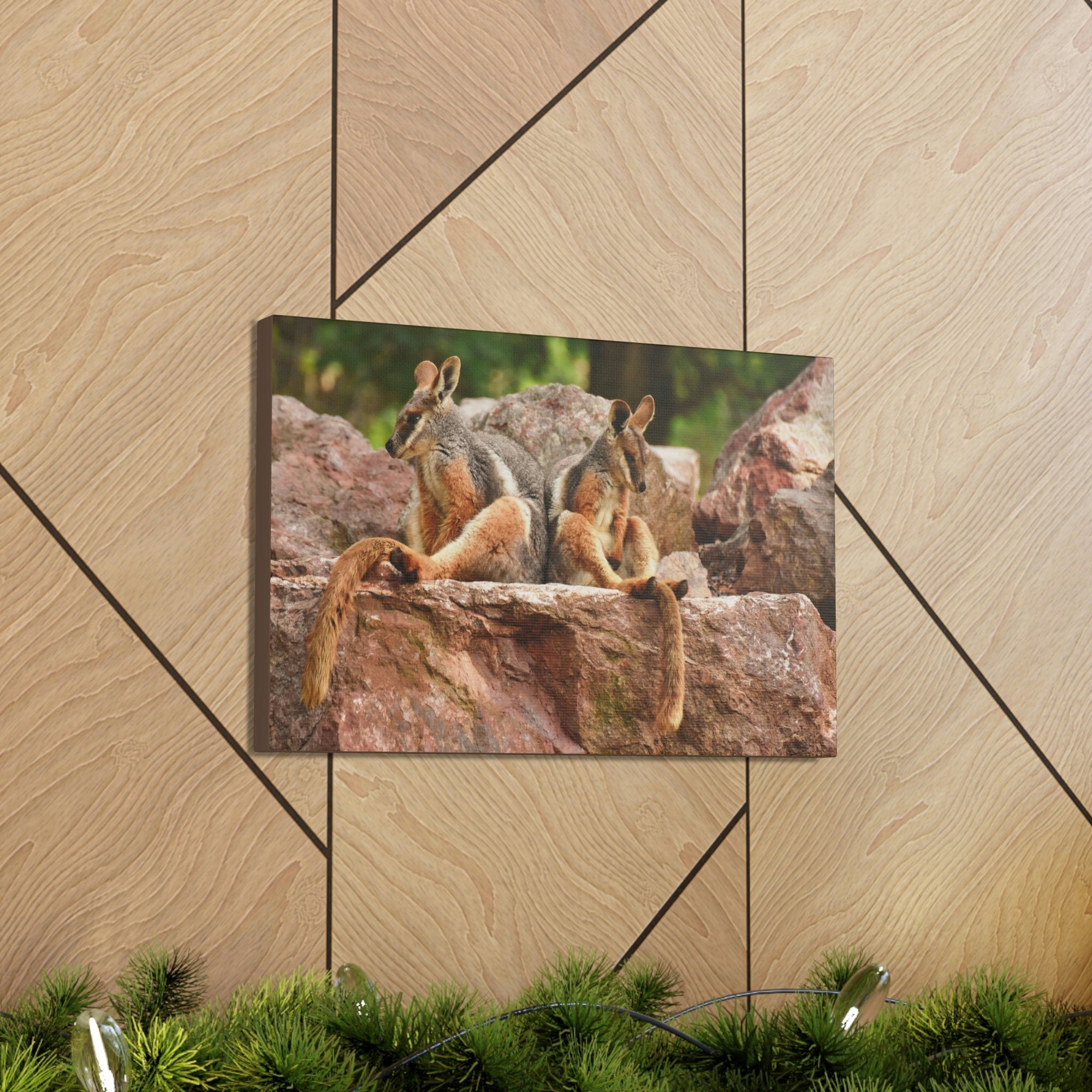 Scripture Walls Wallaby Couple Wallaby Couple Print Animal Wall Art Wildlife Canvas Prints Wall Art Ready to Hang Unframed-Express Your Love Gifts