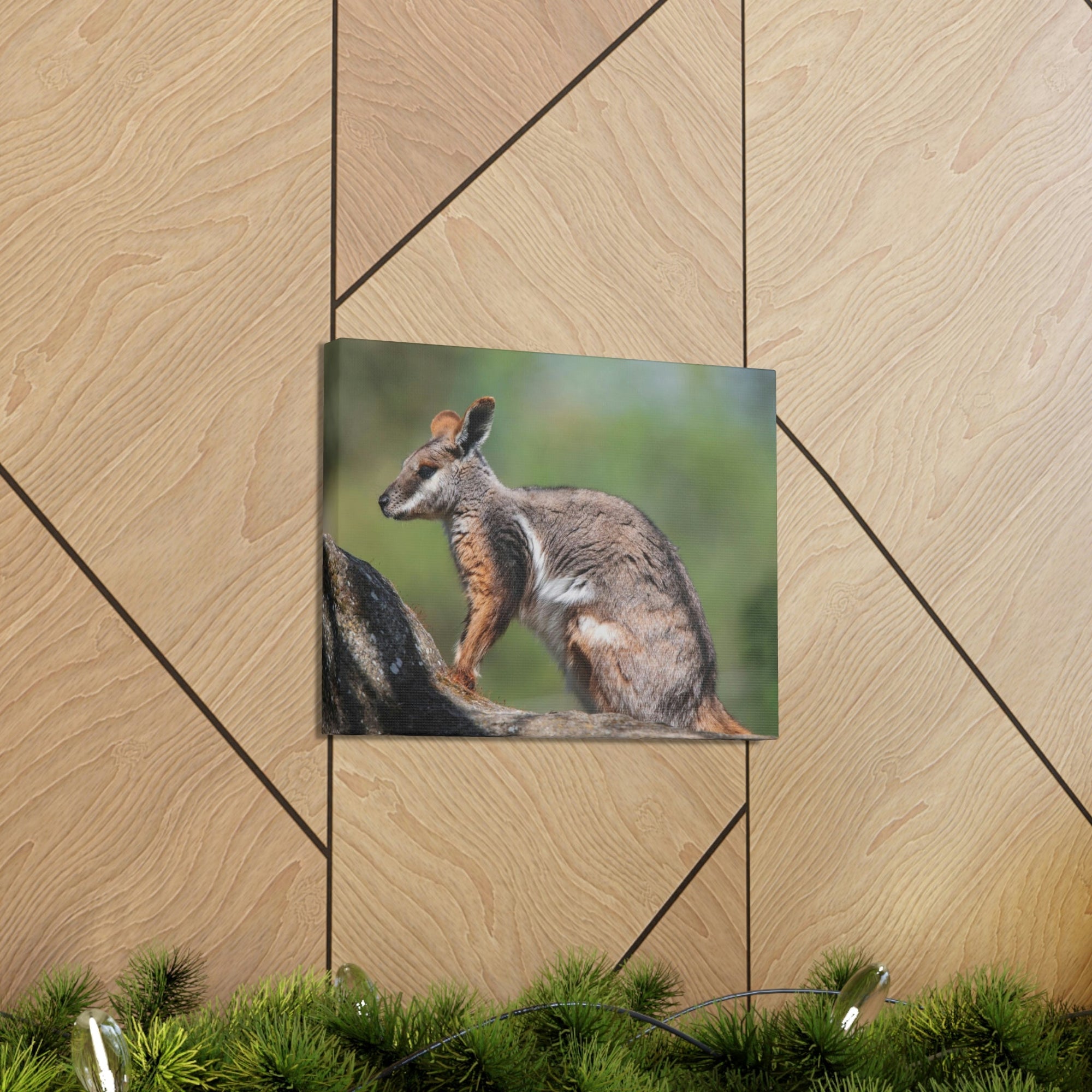 Scripture Walls Wallaby Hunting Wallaby on Hunt Print Animal Wall Art Wildlife Canvas Prints Wall Art Ready to Hang Unframed-Express Your Love Gifts