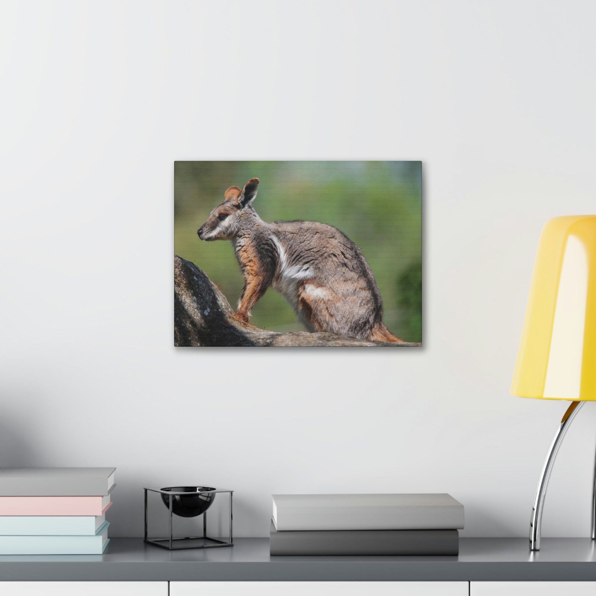 Scripture Walls Wallaby Hunting Wallaby on Hunt Print Animal Wall Art Wildlife Canvas Prints Wall Art Ready to Hang Unframed-Express Your Love Gifts