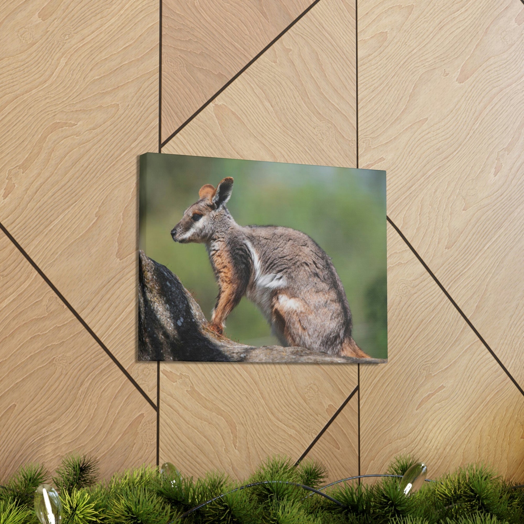 Scripture Walls Wallaby Hunting Wallaby on Hunt Print Animal Wall Art Wildlife Canvas Prints Wall Art Ready to Hang Unframed-Express Your Love Gifts