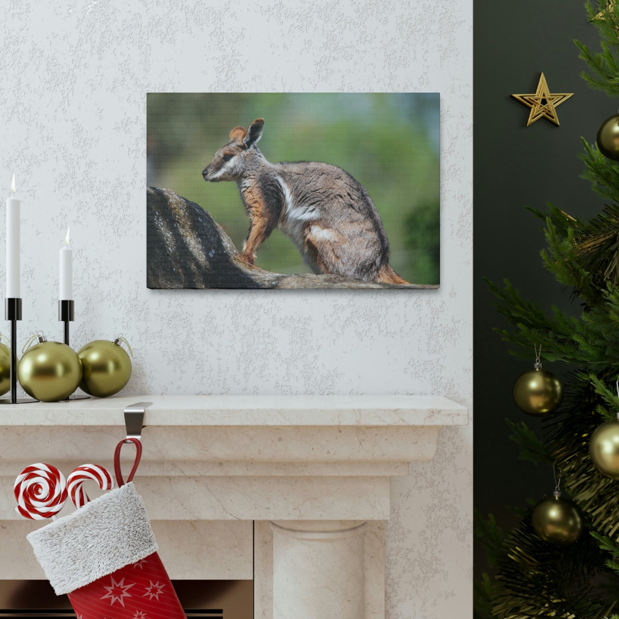 Scripture Walls Wallaby Hunting Wallaby on Hunt Print Animal Wall Art Wildlife Canvas Prints Wall Art Ready to Hang Unframed-Express Your Love Gifts