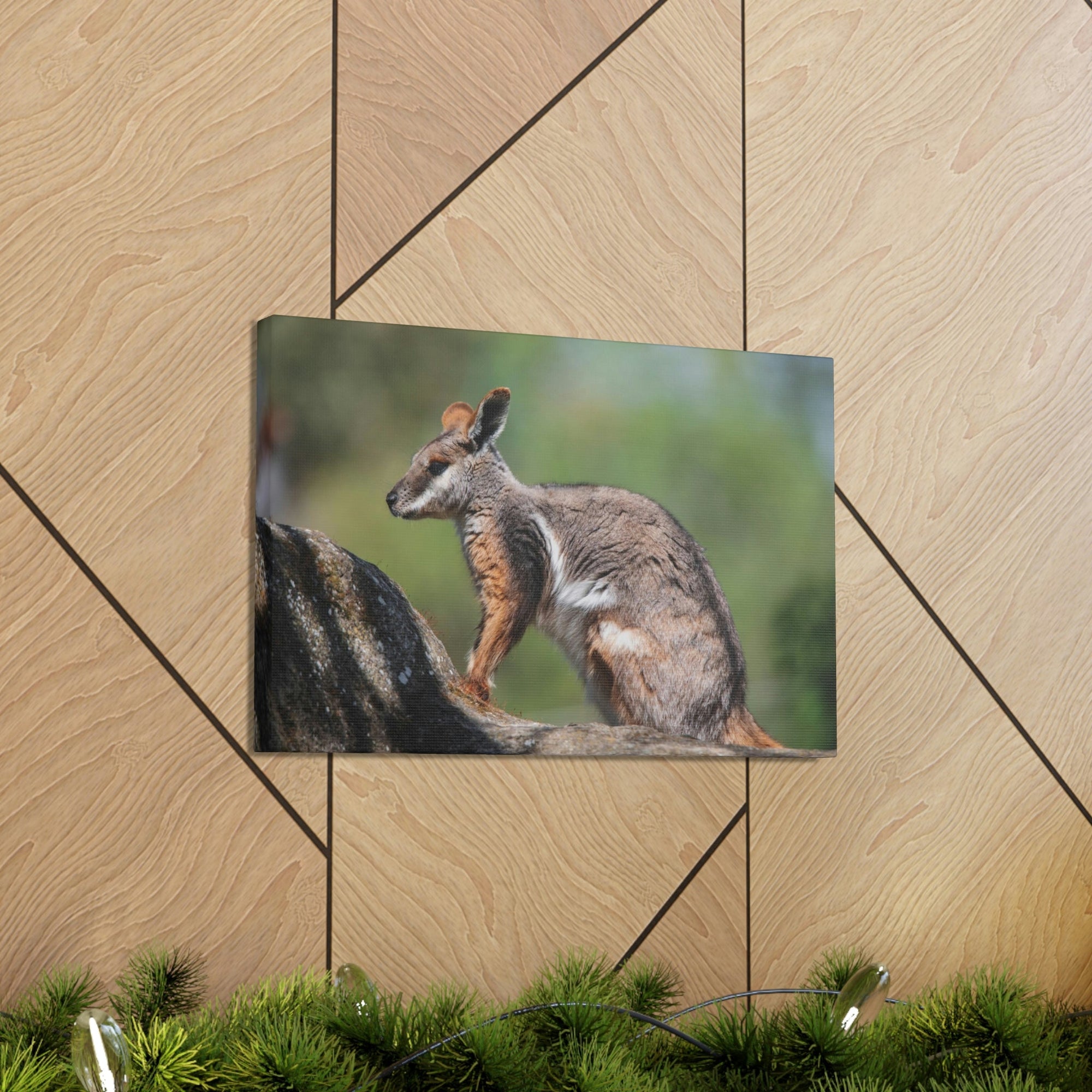 Scripture Walls Wallaby Hunting Wallaby on Hunt Print Animal Wall Art Wildlife Canvas Prints Wall Art Ready to Hang Unframed-Express Your Love Gifts