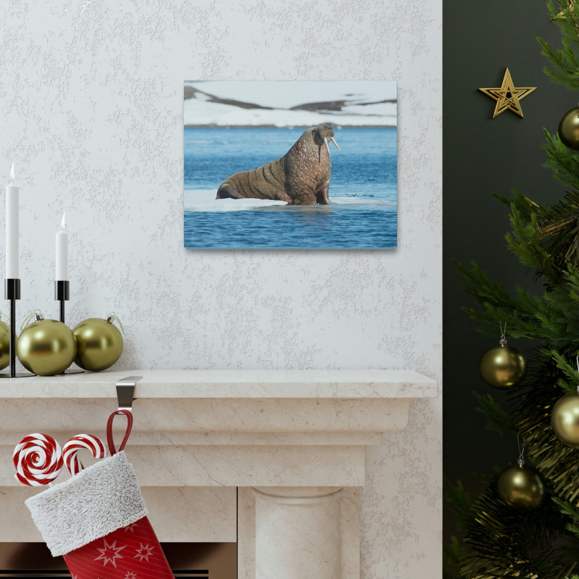 Scripture Walls Walrus Hunting Walrus on Hunt Print Animal Wall Art Wildlife Canvas Prints Wall Art Ready to Hang Unframed-Express Your Love Gifts