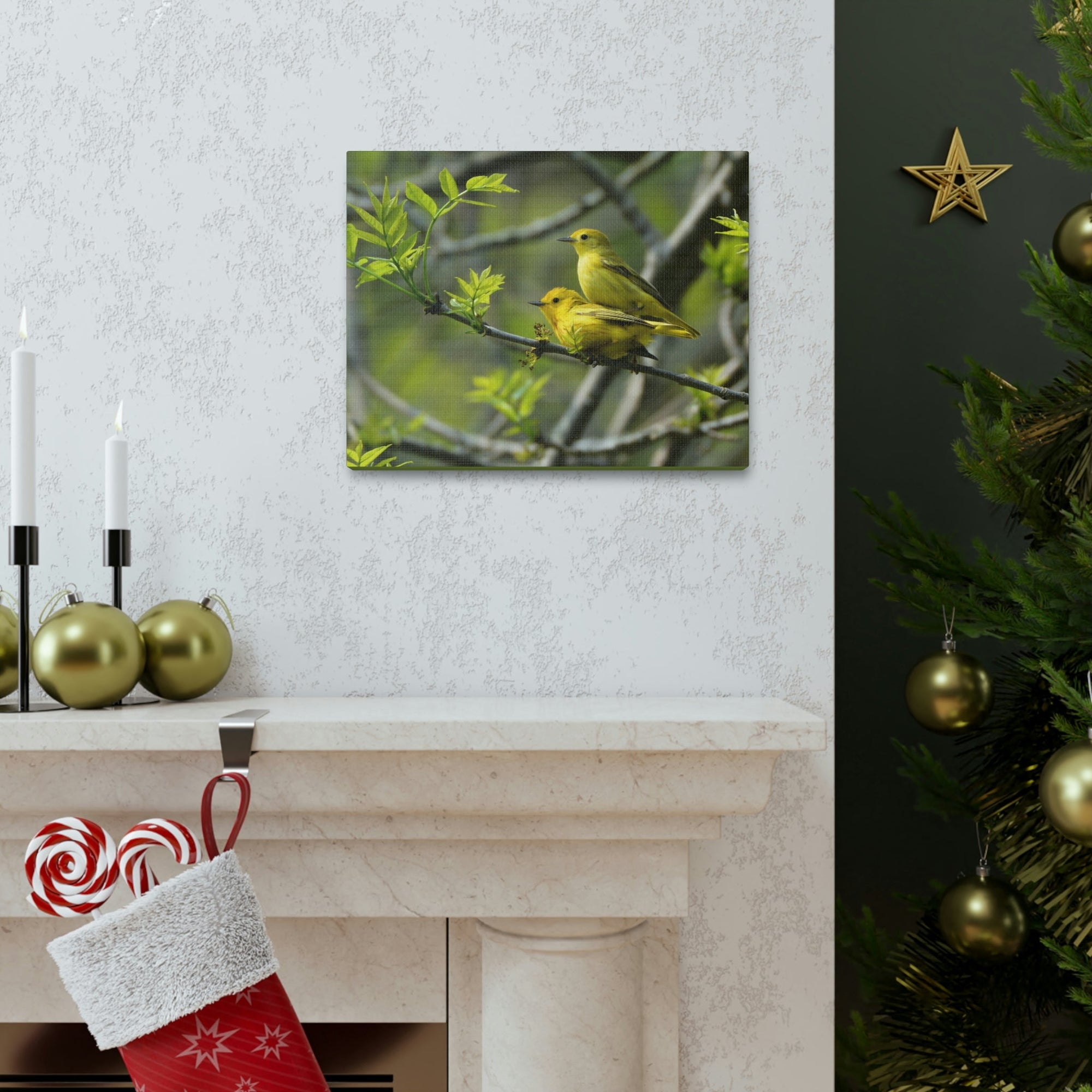 Scripture Walls Warbler Couple Warbler Couple Print Animal Wall Art Wildlife Canvas Prints Wall Art Ready to Hang Unframed-Express Your Love Gifts