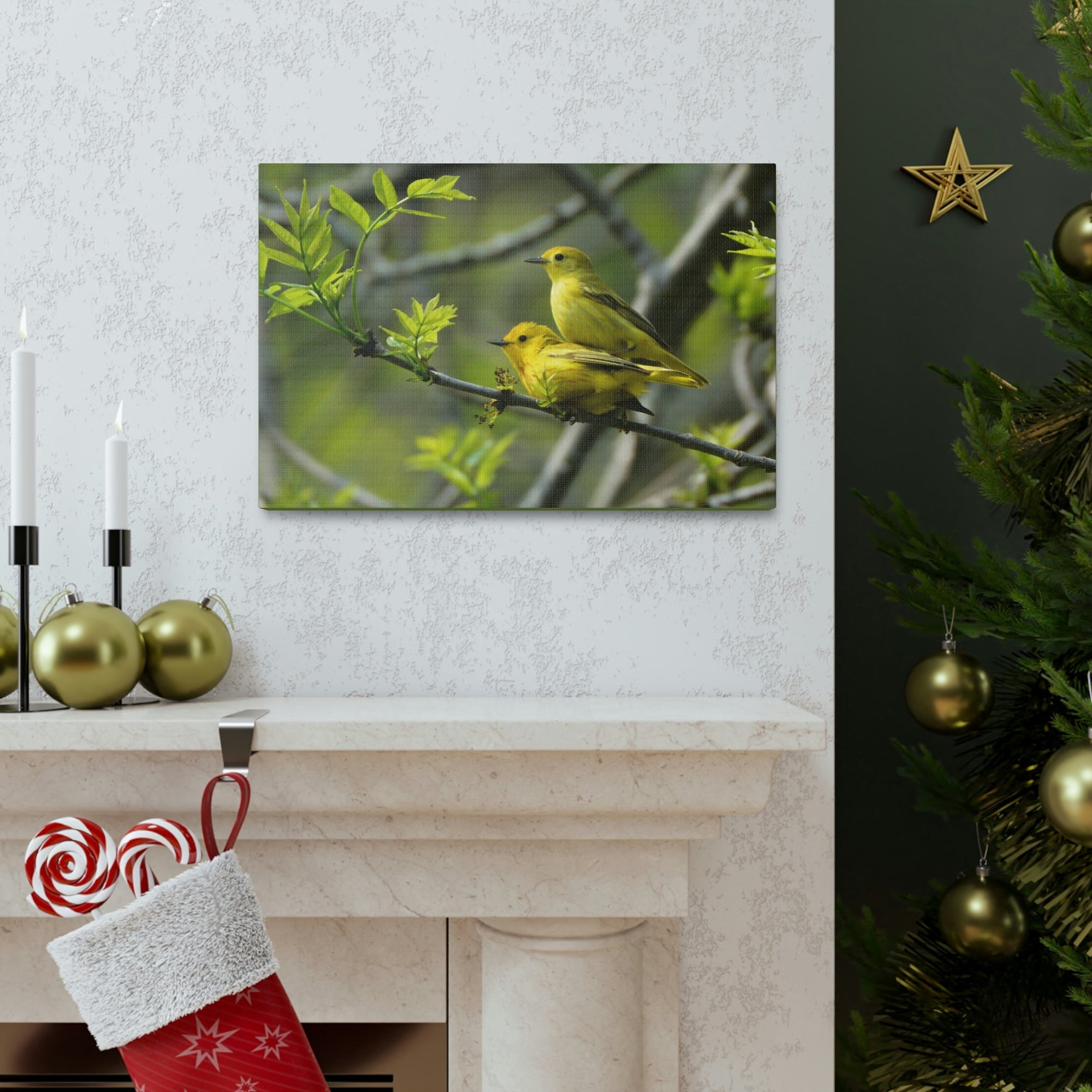 Scripture Walls Warbler Couple Warbler Couple Print Animal Wall Art Wildlife Canvas Prints Wall Art Ready to Hang Unframed-Express Your Love Gifts