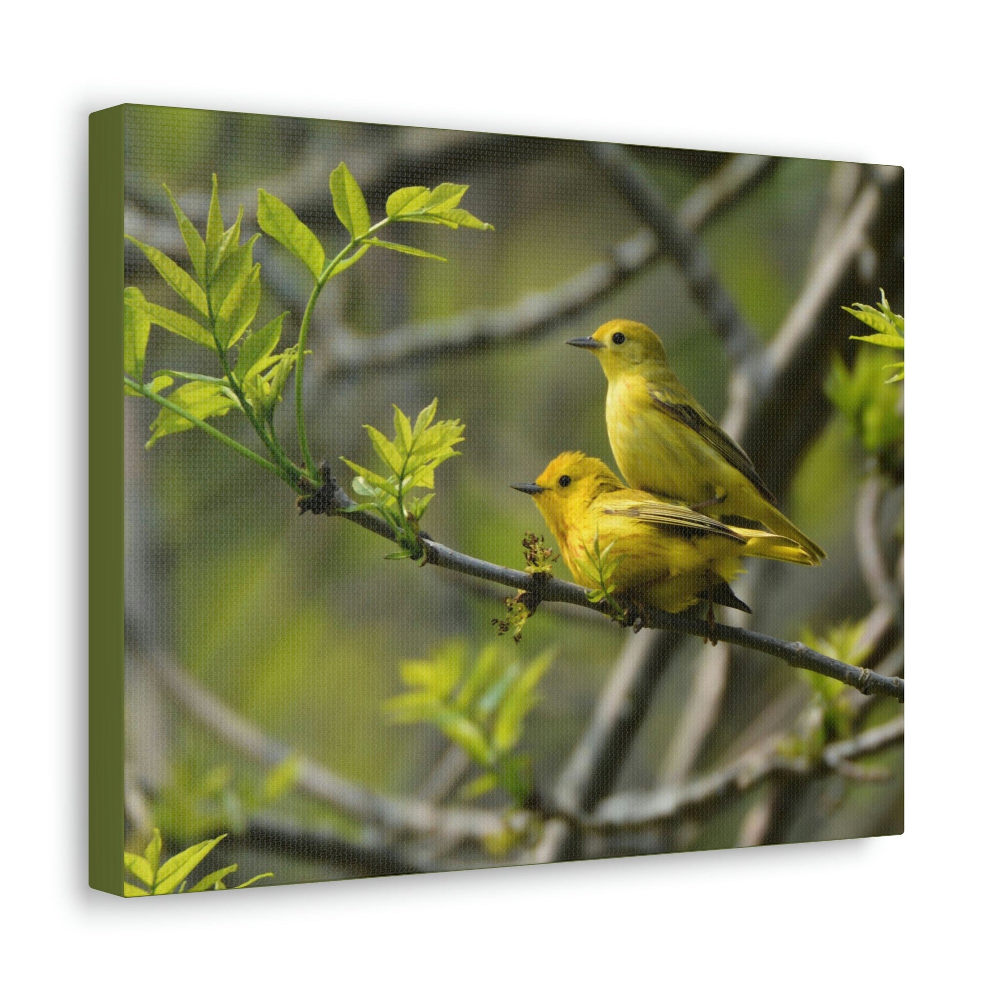 Scripture Walls Warbler Couple Warbler Couple Print Animal Wall Art Wildlife Canvas Prints Wall Art Ready to Hang Unframed-Express Your Love Gifts