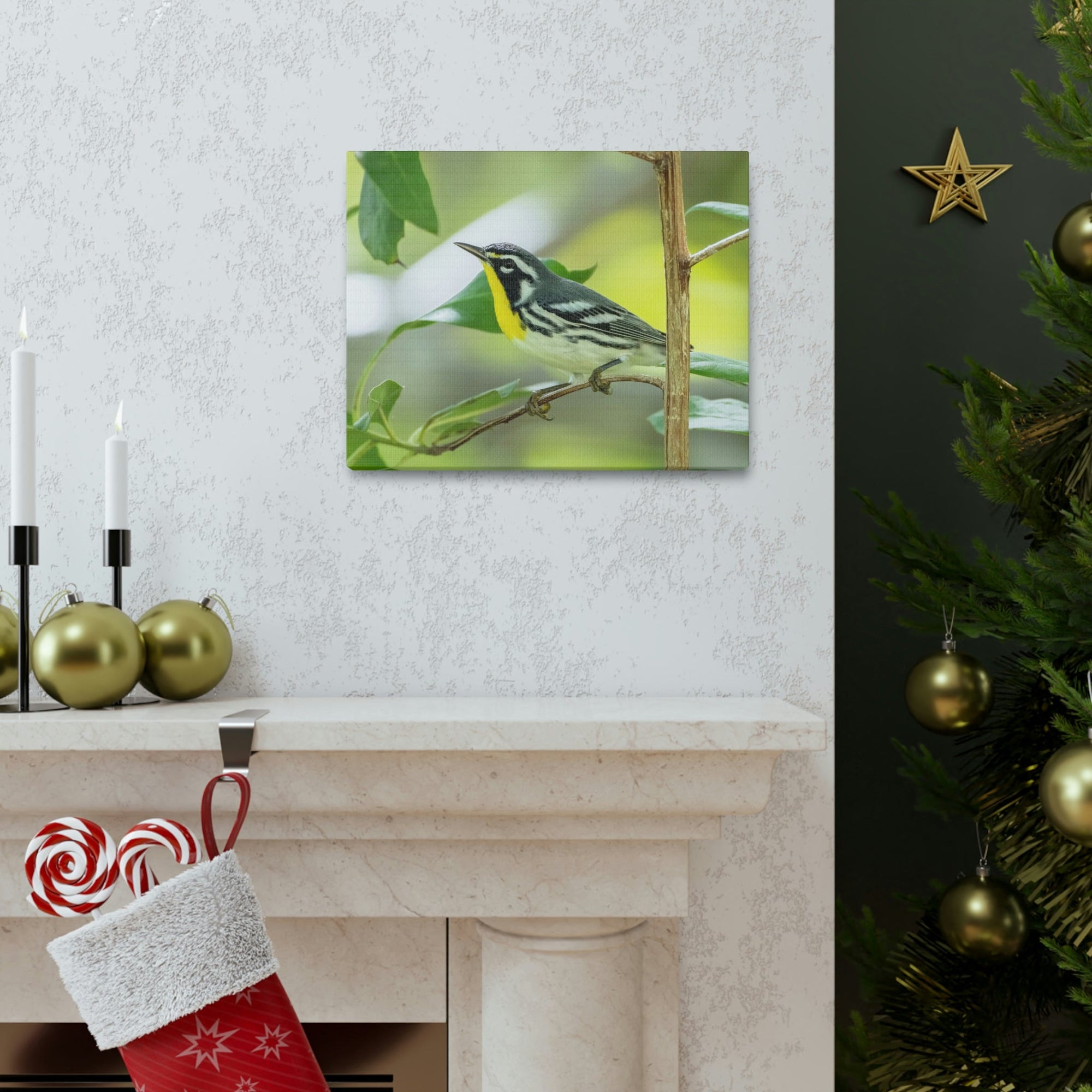 Scripture Walls Warbler Hunting Warbler on Hunt Print Animal Wall Art Wildlife Canvas Prints Wall Art Ready to Hang Unframed-Express Your Love Gifts