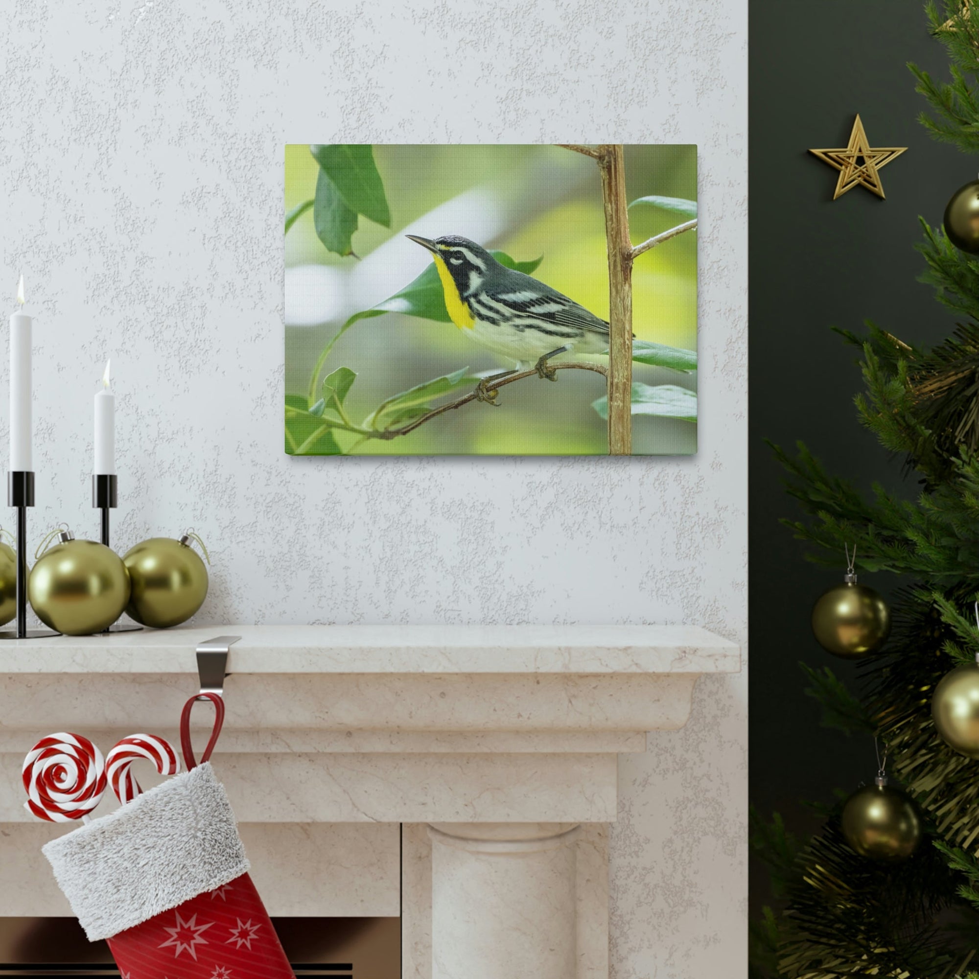 Scripture Walls Warbler Hunting Warbler on Hunt Print Animal Wall Art Wildlife Canvas Prints Wall Art Ready to Hang Unframed-Express Your Love Gifts