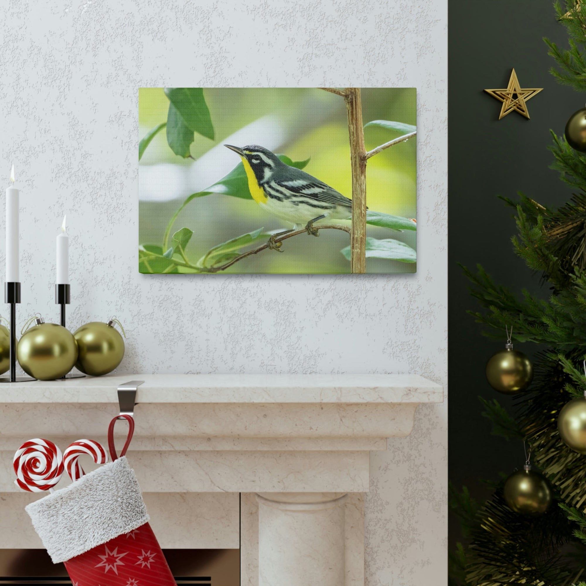 Scripture Walls Warbler Hunting Warbler on Hunt Print Animal Wall Art Wildlife Canvas Prints Wall Art Ready to Hang Unframed-Express Your Love Gifts