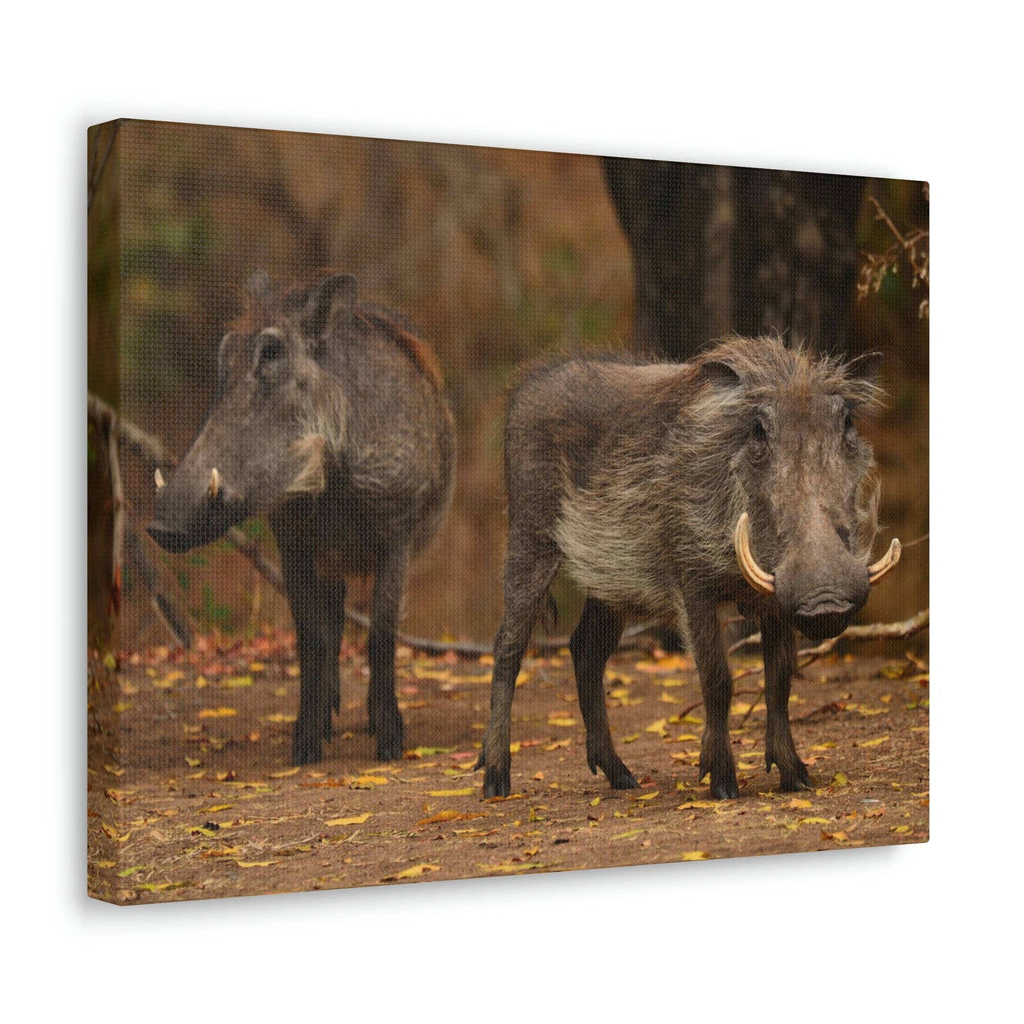 Scripture Walls Warthog Couple Warthog Couple Print Animal Wall Art Wildlife Canvas Prints Wall Art Ready to Hang Unframed-Express Your Love Gifts