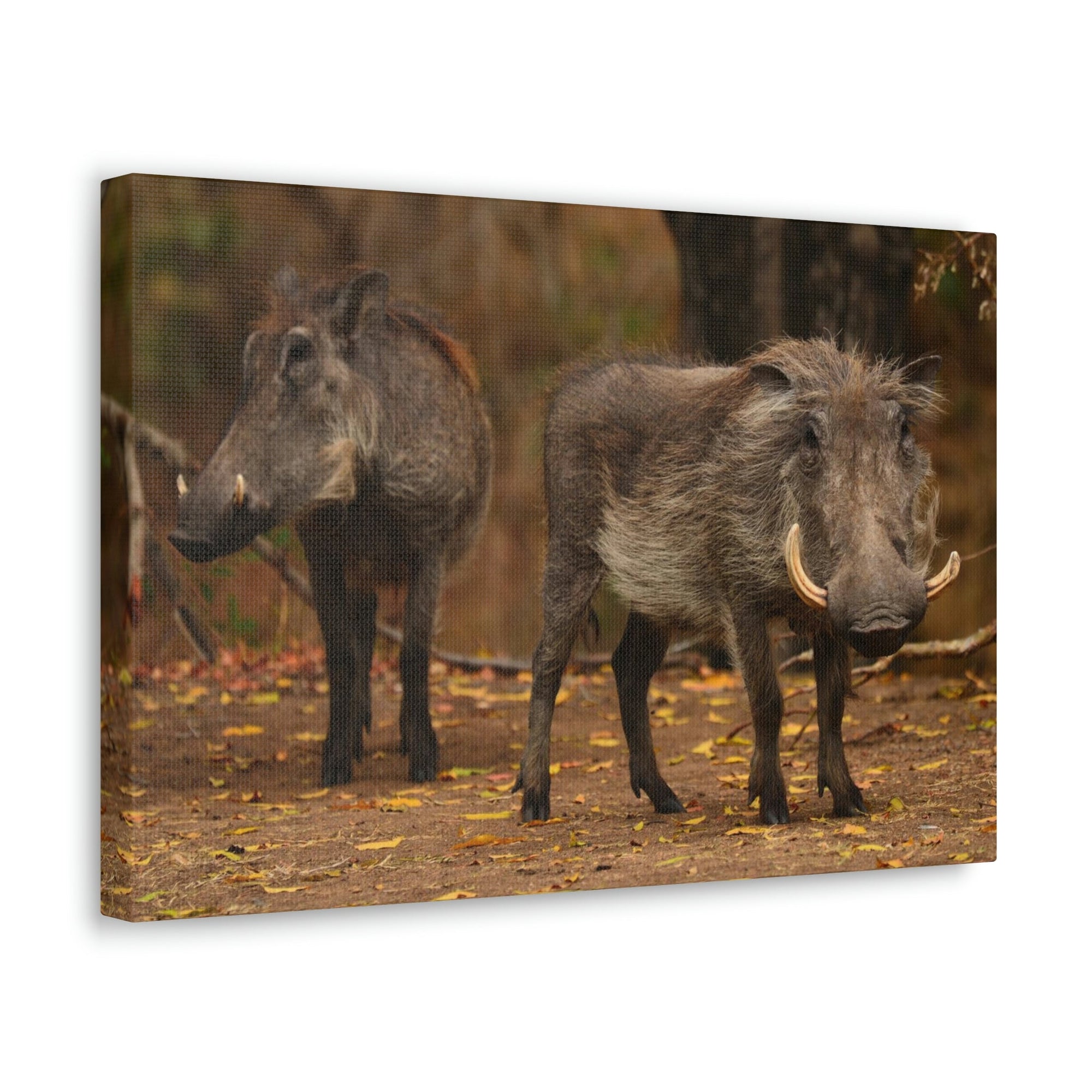 Scripture Walls Warthog Couple Warthog Couple Print Animal Wall Art Wildlife Canvas Prints Wall Art Ready to Hang Unframed-Express Your Love Gifts