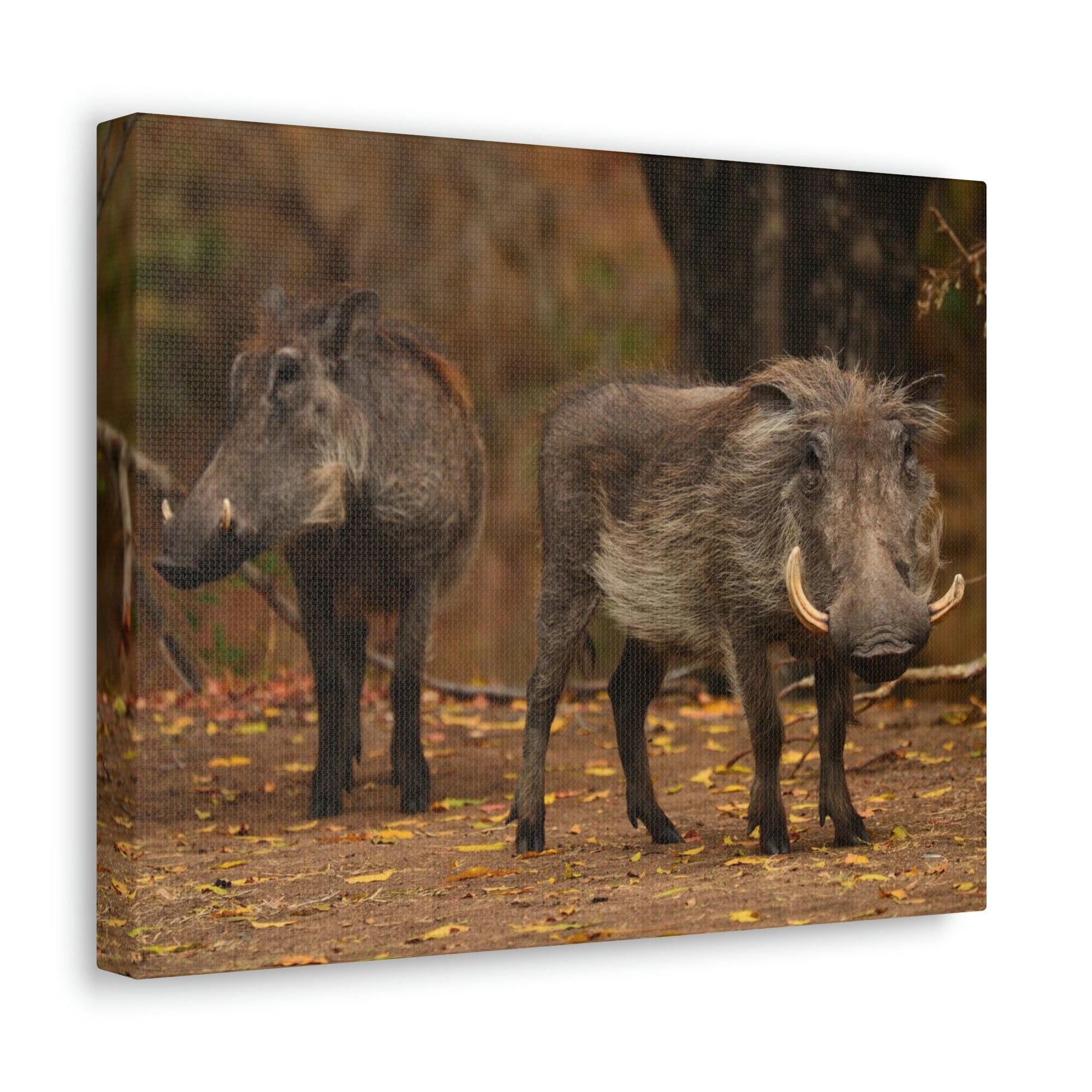 Scripture Walls Warthog Couple Warthog Couple Print Animal Wall Art Wildlife Canvas Prints Wall Art Ready to Hang Unframed-Express Your Love Gifts