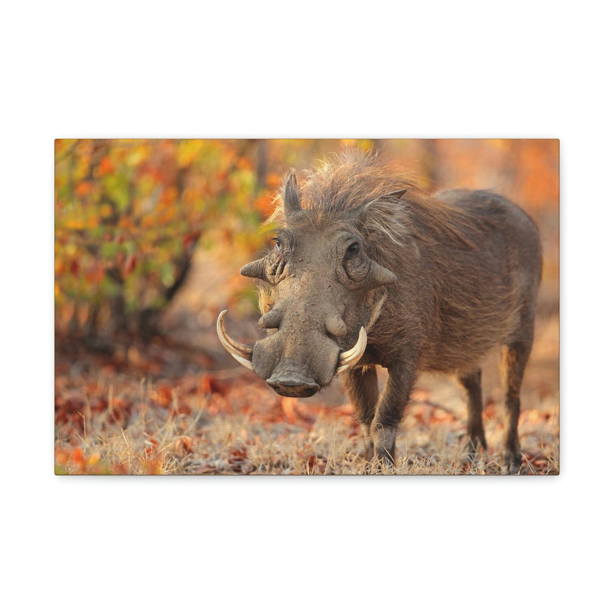 Scripture Walls Warthog Hunting Warthog on Hunt Print Animal Wall Art Wildlife Canvas Prints Wall Art Ready to Hang Unframed-Express Your Love Gifts