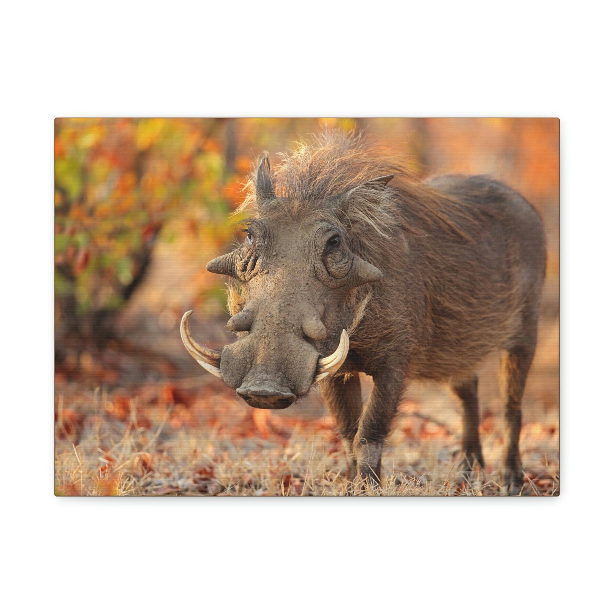 Scripture Walls Warthog Hunting Warthog on Hunt Print Animal Wall Art Wildlife Canvas Prints Wall Art Ready to Hang Unframed-Express Your Love Gifts