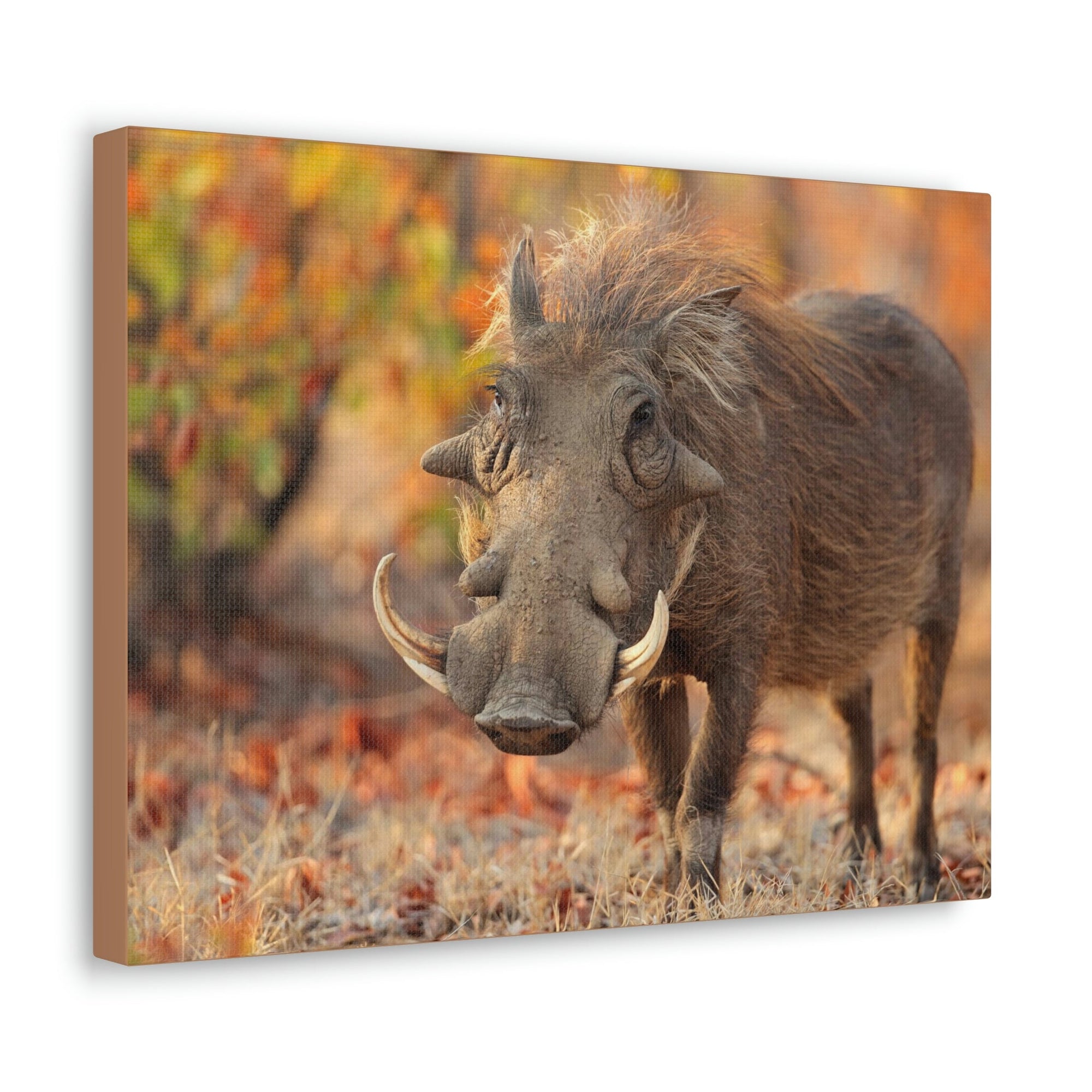 Scripture Walls Warthog Hunting Warthog on Hunt Print Animal Wall Art Wildlife Canvas Prints Wall Art Ready to Hang Unframed-Express Your Love Gifts