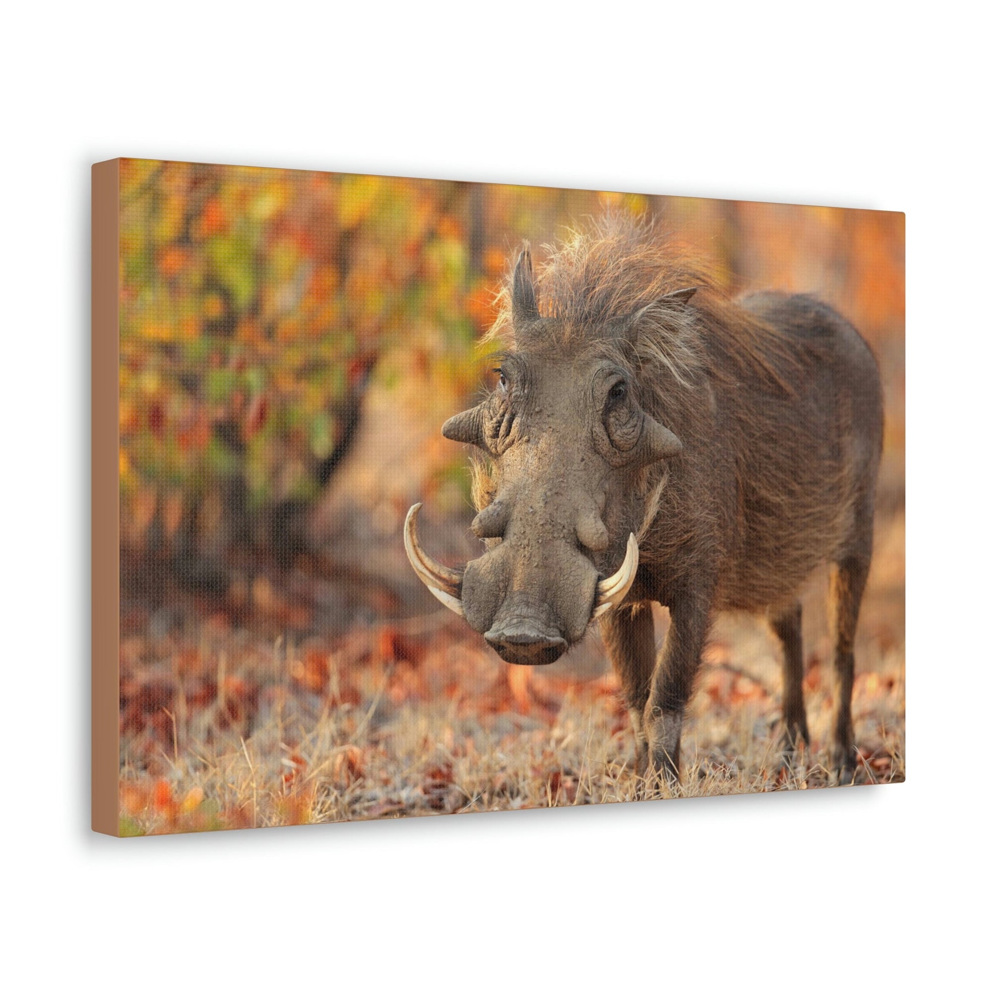 Scripture Walls Warthog Hunting Warthog on Hunt Print Animal Wall Art Wildlife Canvas Prints Wall Art Ready to Hang Unframed-Express Your Love Gifts