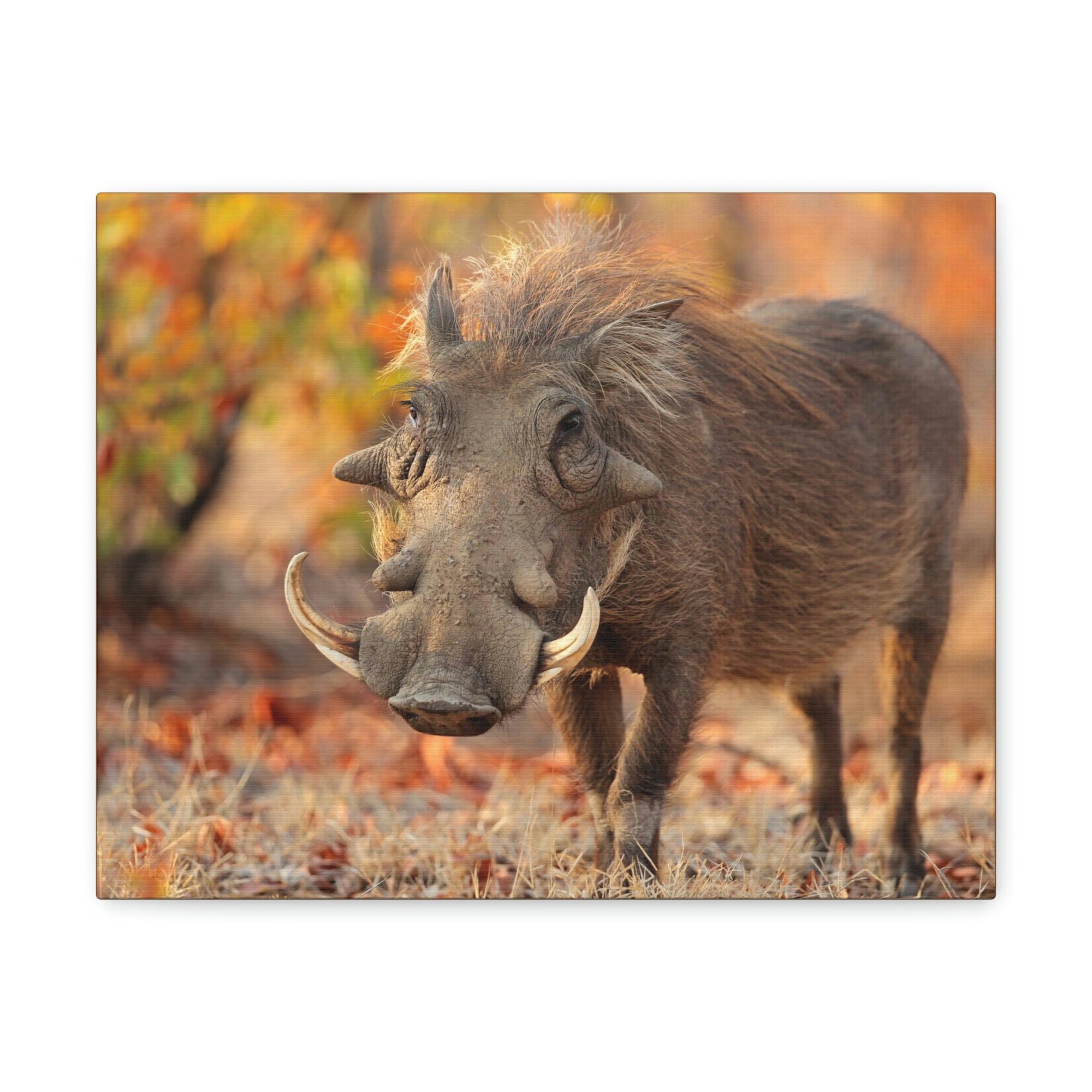 Scripture Walls Warthog Hunting Warthog on Hunt Print Animal Wall Art Wildlife Canvas Prints Wall Art Ready to Hang Unframed-Express Your Love Gifts