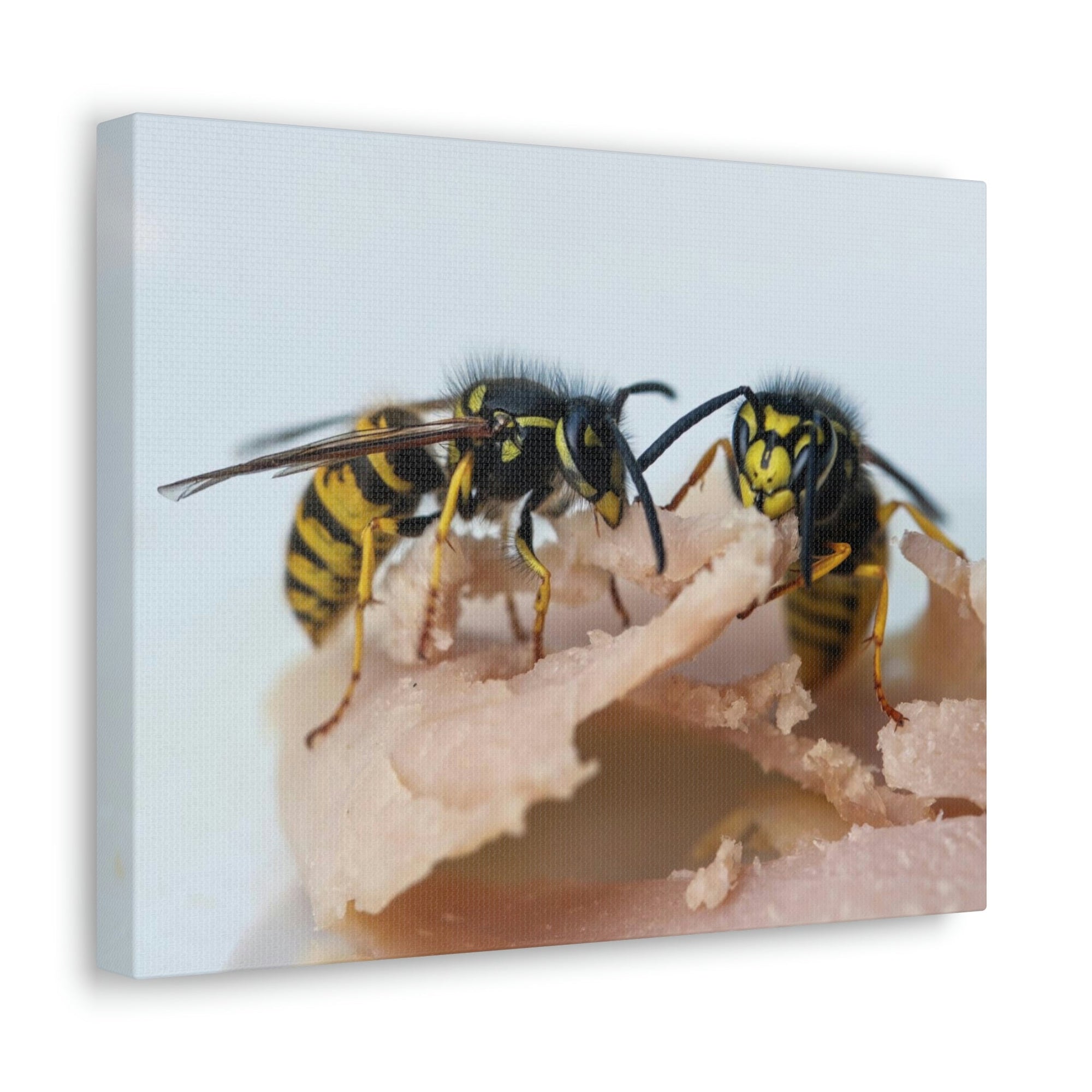 Scripture Walls Wasp Couple Wasp Couple Print Animal Wall Art Wildlife Canvas Prints Wall Art Ready to Hang Unframed-Express Your Love Gifts