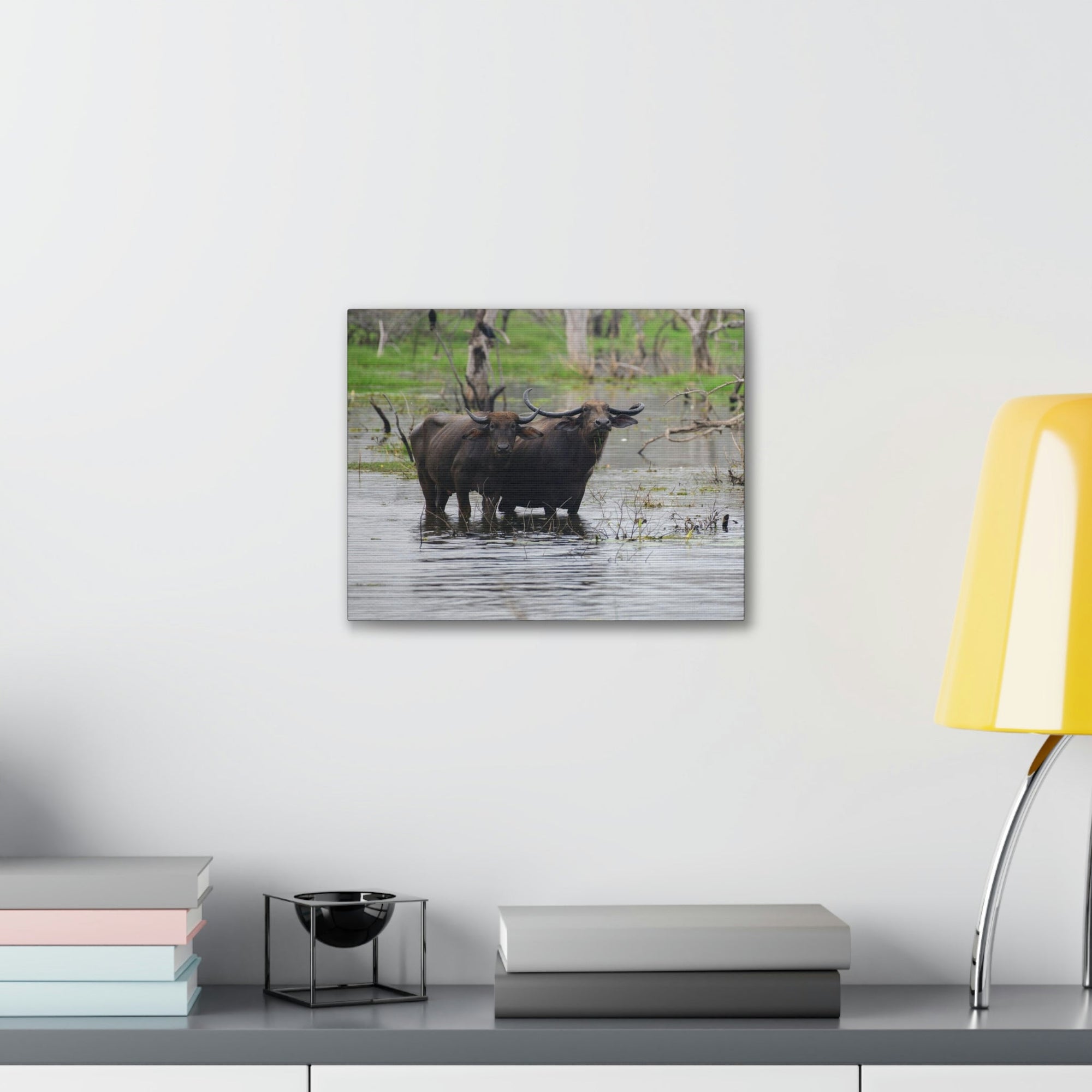 Scripture Walls Water Buffalo Couple Water Buffalo Couple Print Animal Wall Art Wildlife Canvas Prints Wall Art Ready to Hang Unframed-Express Your Love Gifts