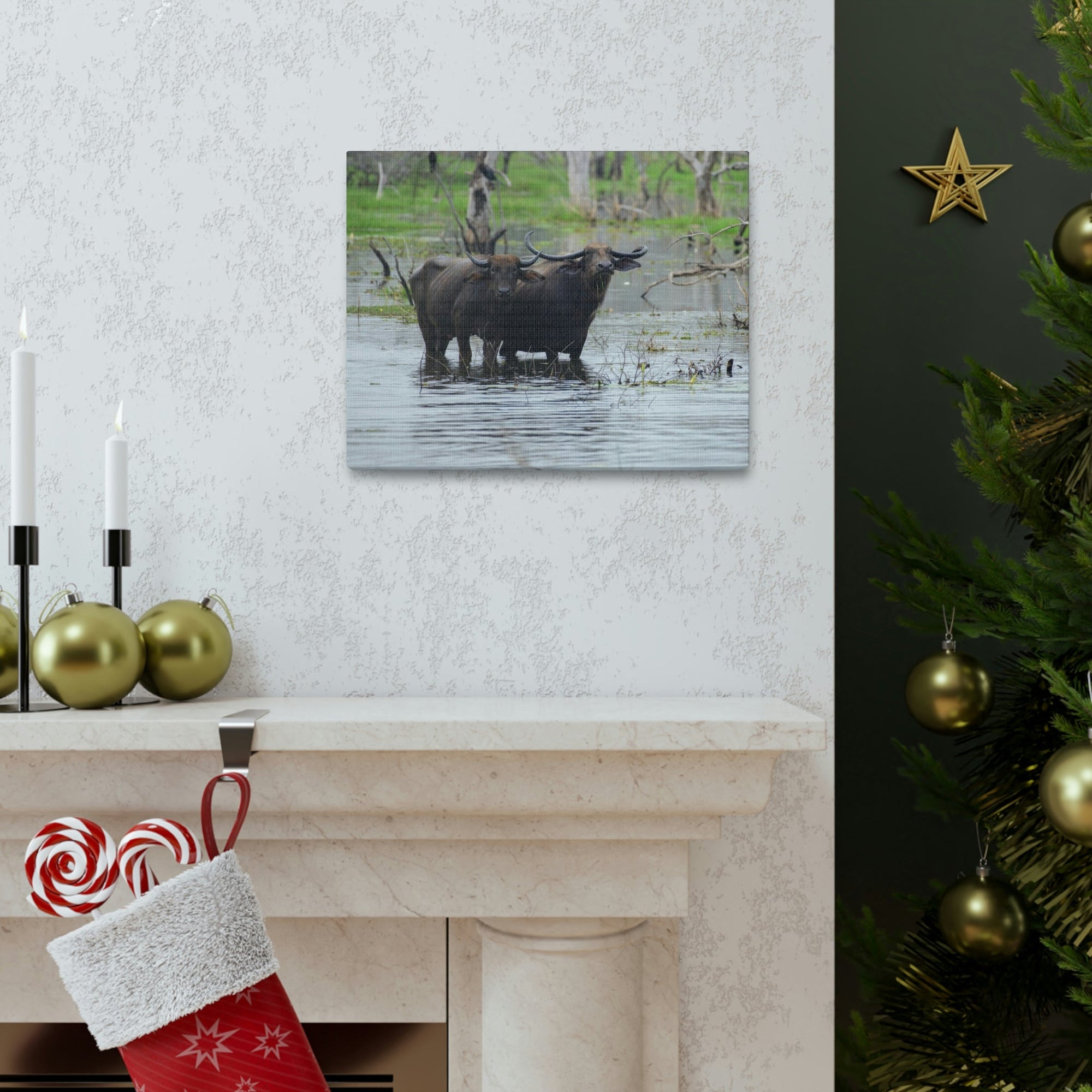 Scripture Walls Water Buffalo Couple Water Buffalo Couple Print Animal Wall Art Wildlife Canvas Prints Wall Art Ready to Hang Unframed-Express Your Love Gifts