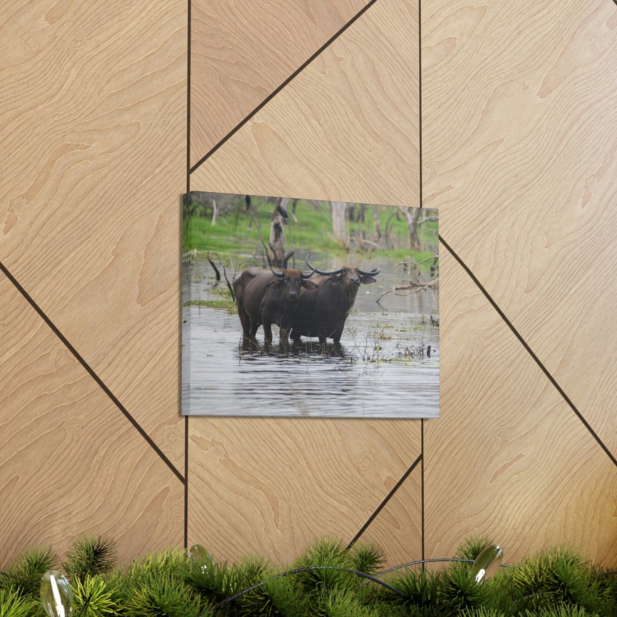 Scripture Walls Water Buffalo Couple Water Buffalo Couple Print Animal Wall Art Wildlife Canvas Prints Wall Art Ready to Hang Unframed-Express Your Love Gifts