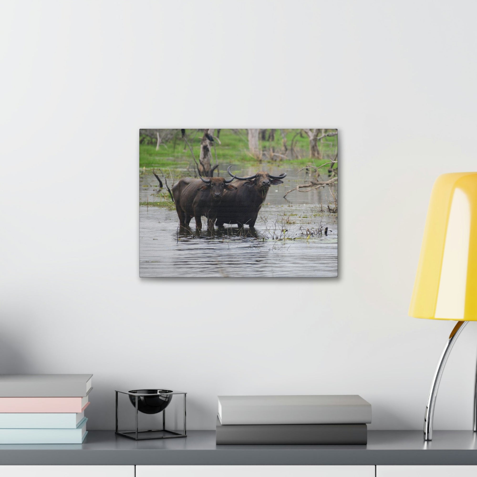 Scripture Walls Water Buffalo Couple Water Buffalo Couple Print Animal Wall Art Wildlife Canvas Prints Wall Art Ready to Hang Unframed-Express Your Love Gifts