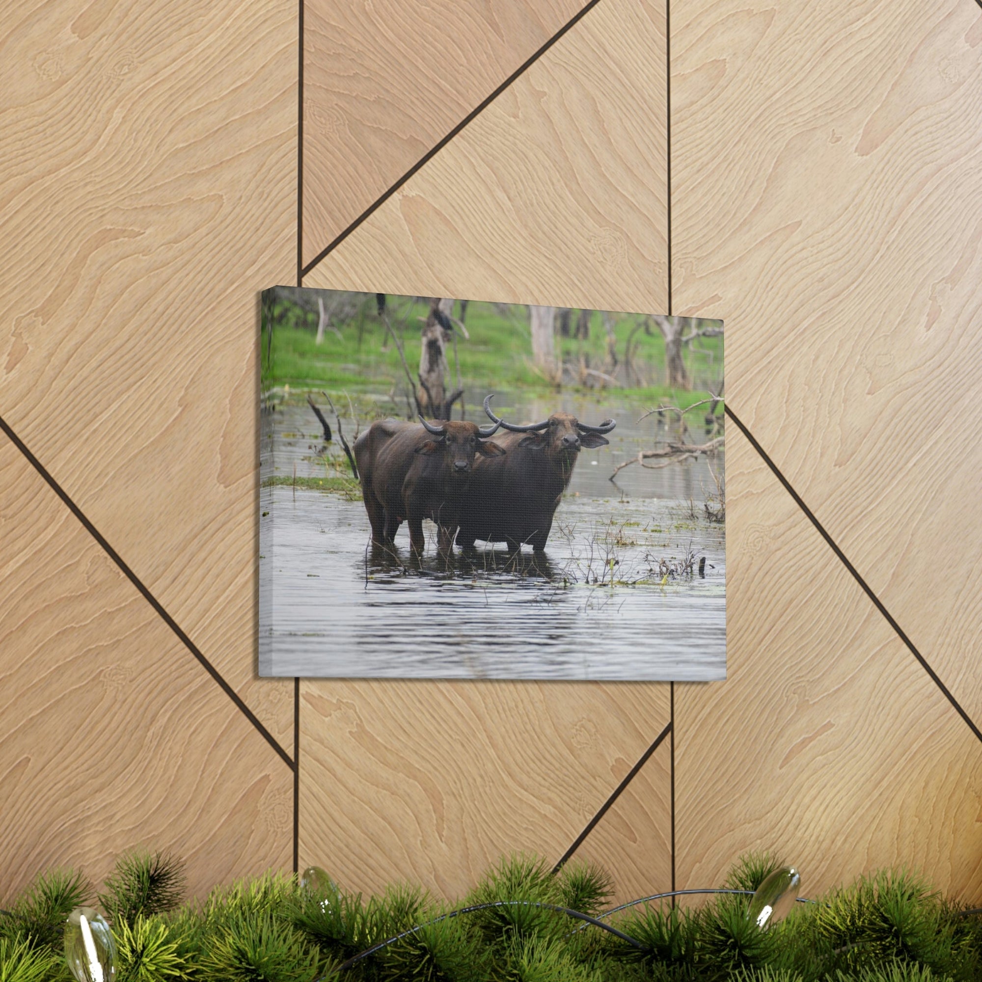 Scripture Walls Water Buffalo Couple Water Buffalo Couple Print Animal Wall Art Wildlife Canvas Prints Wall Art Ready to Hang Unframed-Express Your Love Gifts