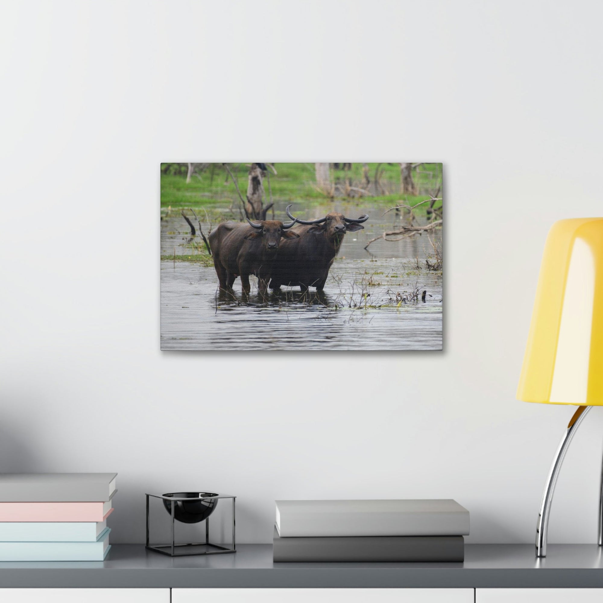 Scripture Walls Water Buffalo Couple Water Buffalo Couple Print Animal Wall Art Wildlife Canvas Prints Wall Art Ready to Hang Unframed-Express Your Love Gifts