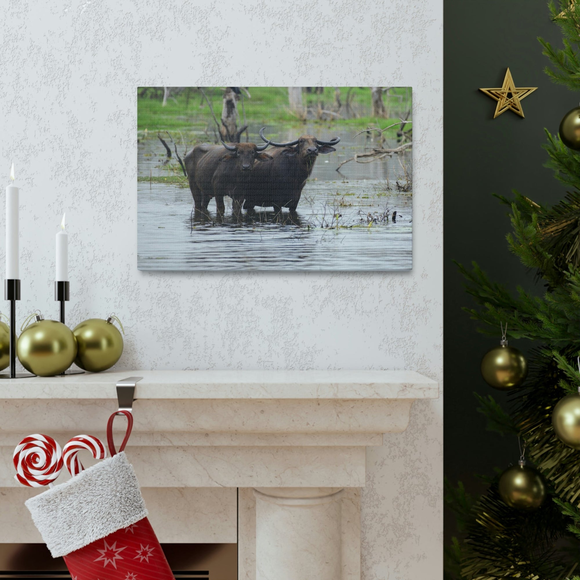 Scripture Walls Water Buffalo Couple Water Buffalo Couple Print Animal Wall Art Wildlife Canvas Prints Wall Art Ready to Hang Unframed-Express Your Love Gifts