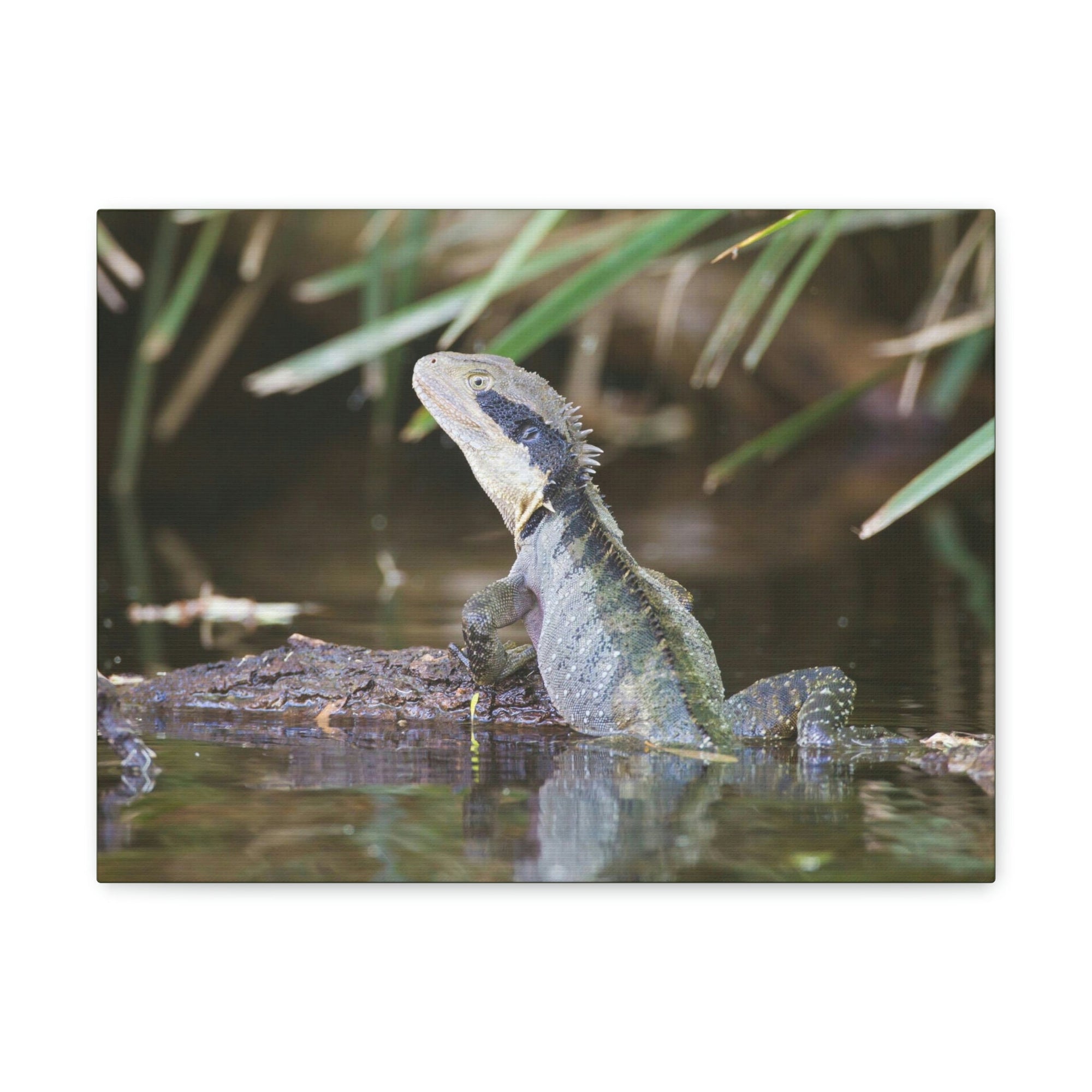 Scripture Walls Water Dragon Hunting Water Dragon on Hunt Print Animal Wall Art Wildlife Canvas Prints Wall Art Ready to Hang Unframed-Express Your Love Gifts