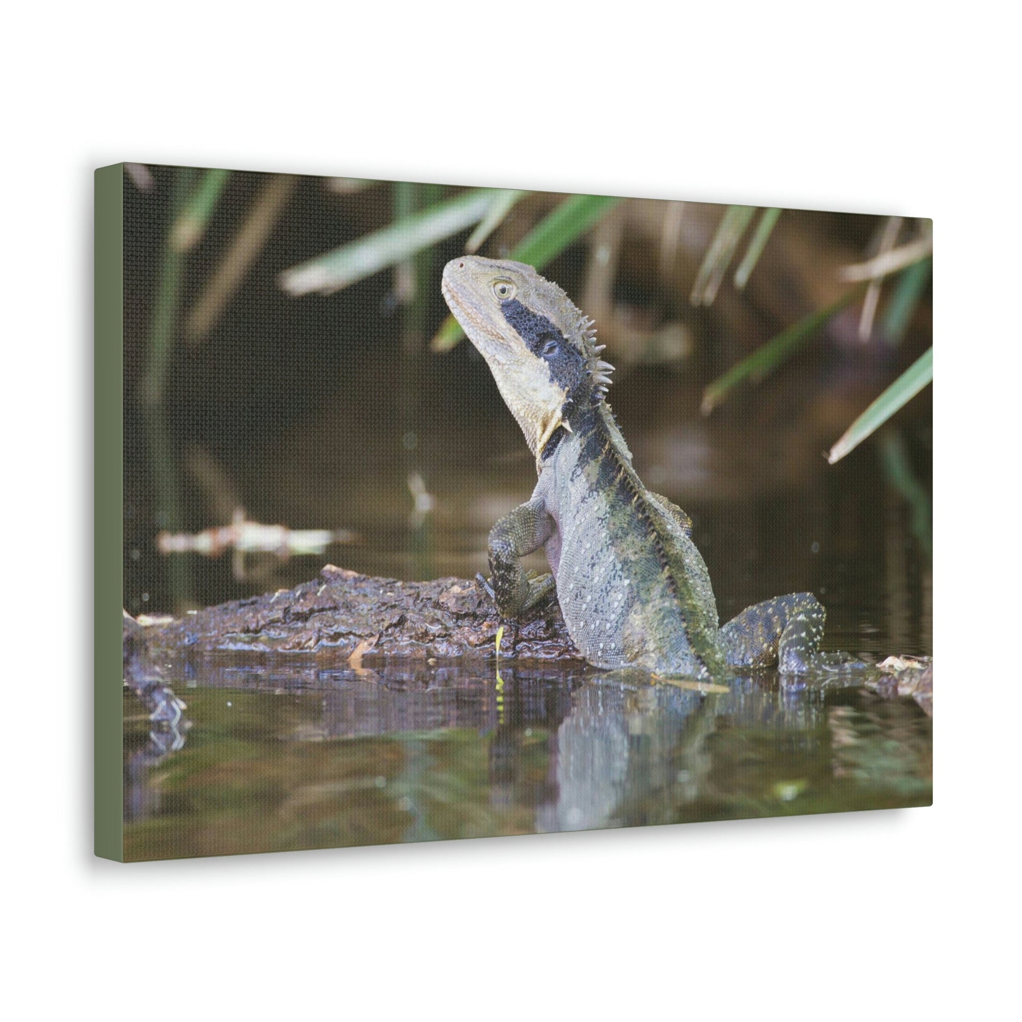 Scripture Walls Water Dragon Hunting Water Dragon on Hunt Print Animal Wall Art Wildlife Canvas Prints Wall Art Ready to Hang Unframed-Express Your Love Gifts