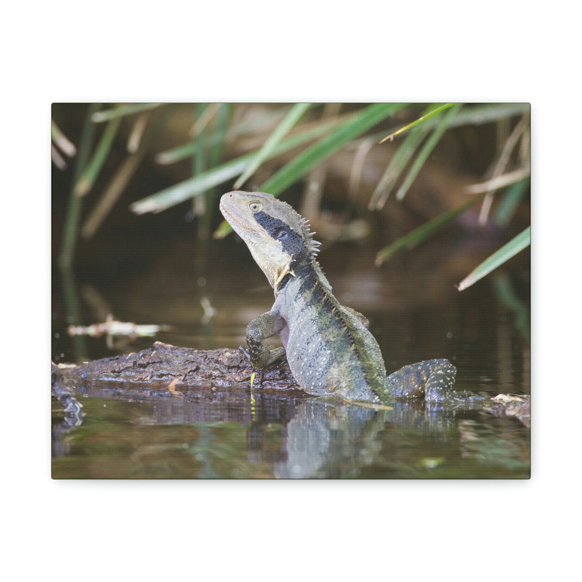 Scripture Walls Water Dragon Hunting Water Dragon on Hunt Print Animal Wall Art Wildlife Canvas Prints Wall Art Ready to Hang Unframed-Express Your Love Gifts