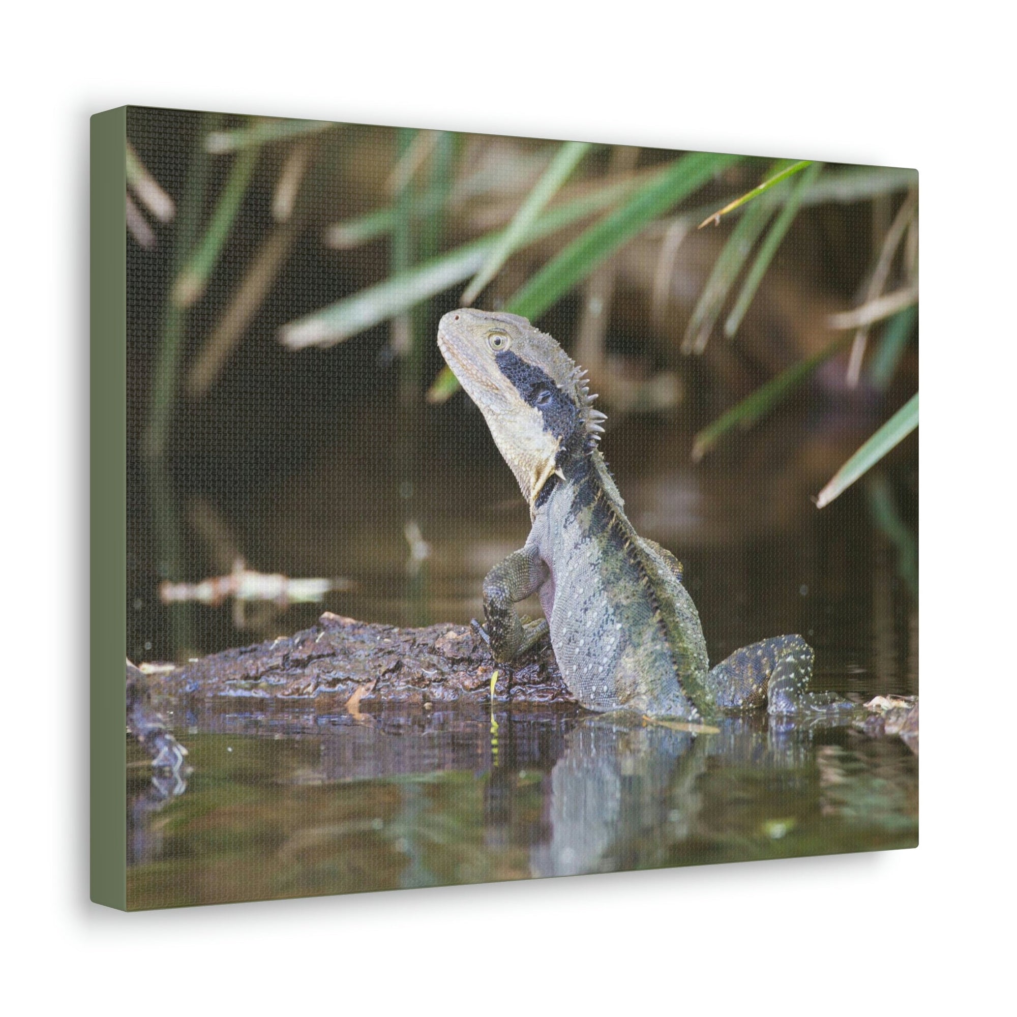 Scripture Walls Water Dragon Hunting Water Dragon on Hunt Print Animal Wall Art Wildlife Canvas Prints Wall Art Ready to Hang Unframed-Express Your Love Gifts