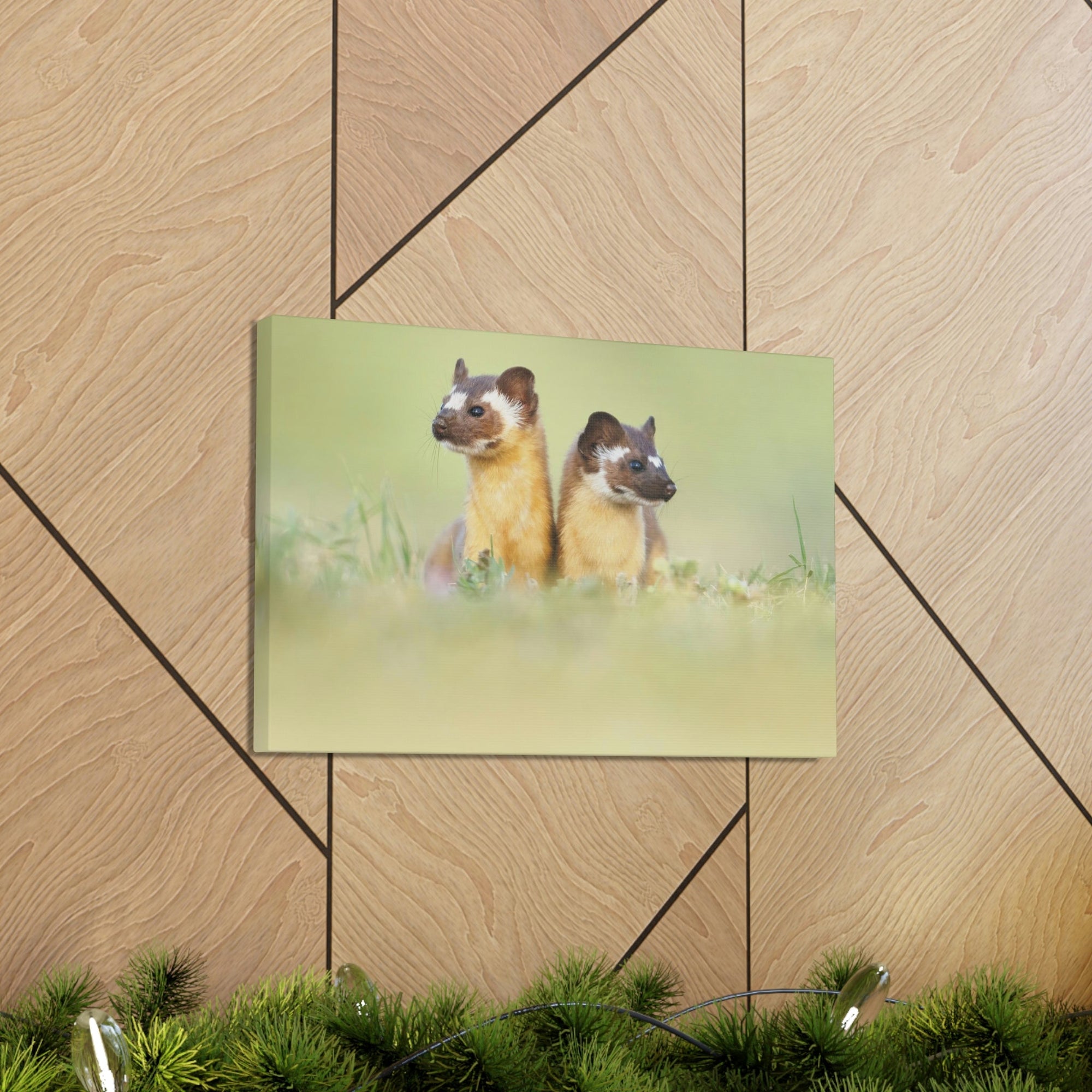 Scripture Walls Weasel Couple Weasel Couple Print Animal Wall Art Wildlife Canvas Prints Wall Art Ready to Hang Unframed-Express Your Love Gifts