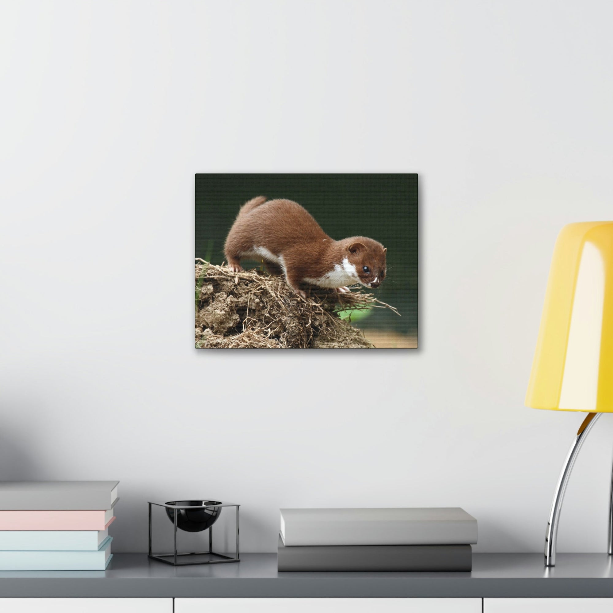 Scripture Walls Weasel Hunting Weasel on Hunt Print Animal Wall Art Wildlife Canvas Prints Wall Art Ready to Hang Unframed-Express Your Love Gifts