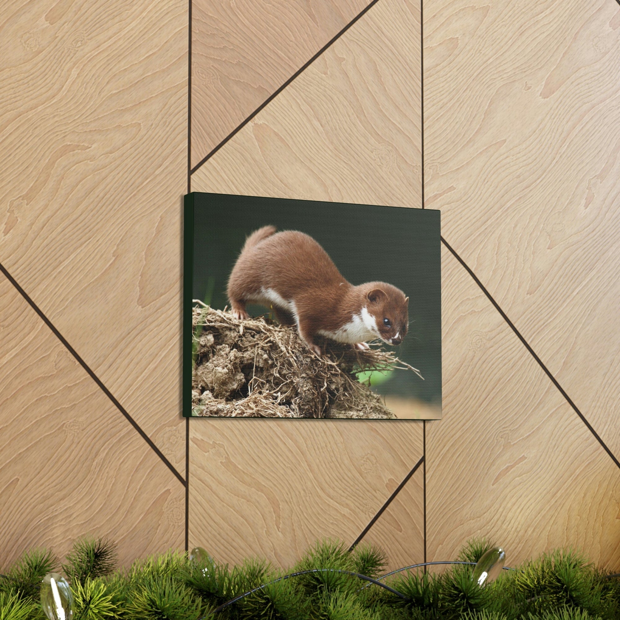 Scripture Walls Weasel Hunting Weasel on Hunt Print Animal Wall Art Wildlife Canvas Prints Wall Art Ready to Hang Unframed-Express Your Love Gifts