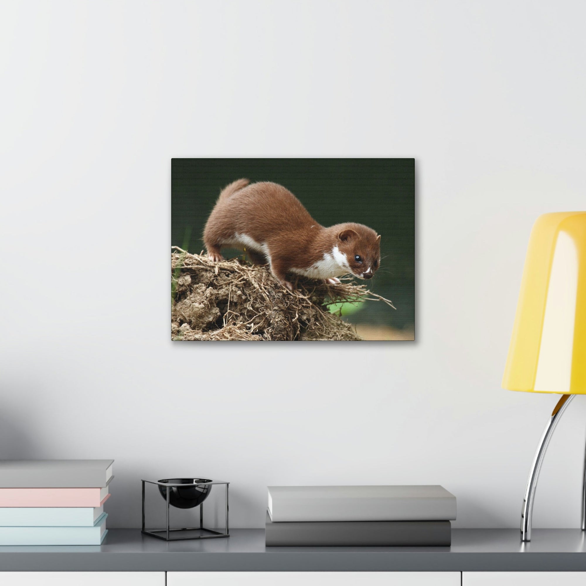 Scripture Walls Weasel Hunting Weasel on Hunt Print Animal Wall Art Wildlife Canvas Prints Wall Art Ready to Hang Unframed-Express Your Love Gifts