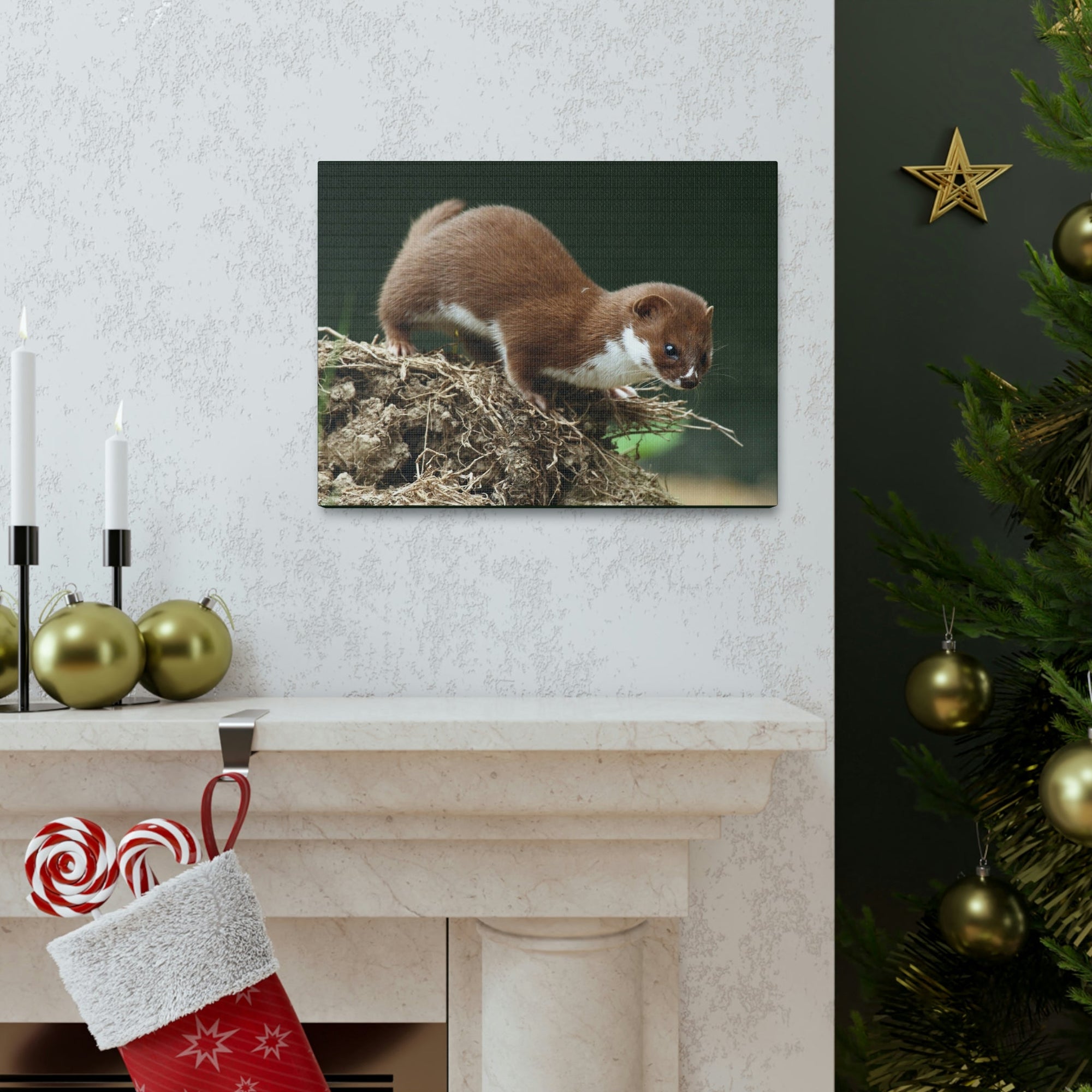 Scripture Walls Weasel Hunting Weasel on Hunt Print Animal Wall Art Wildlife Canvas Prints Wall Art Ready to Hang Unframed-Express Your Love Gifts