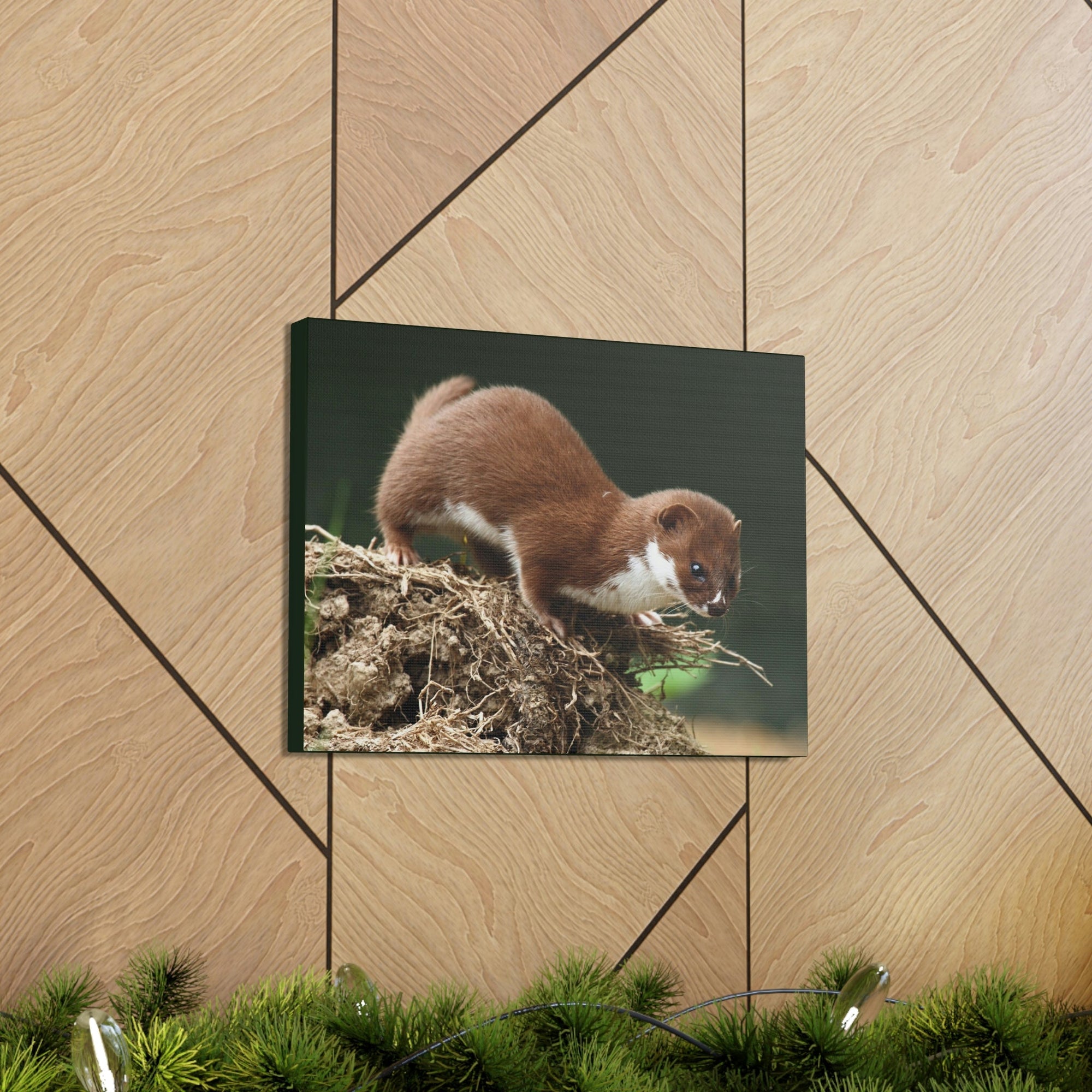 Scripture Walls Weasel Hunting Weasel on Hunt Print Animal Wall Art Wildlife Canvas Prints Wall Art Ready to Hang Unframed-Express Your Love Gifts